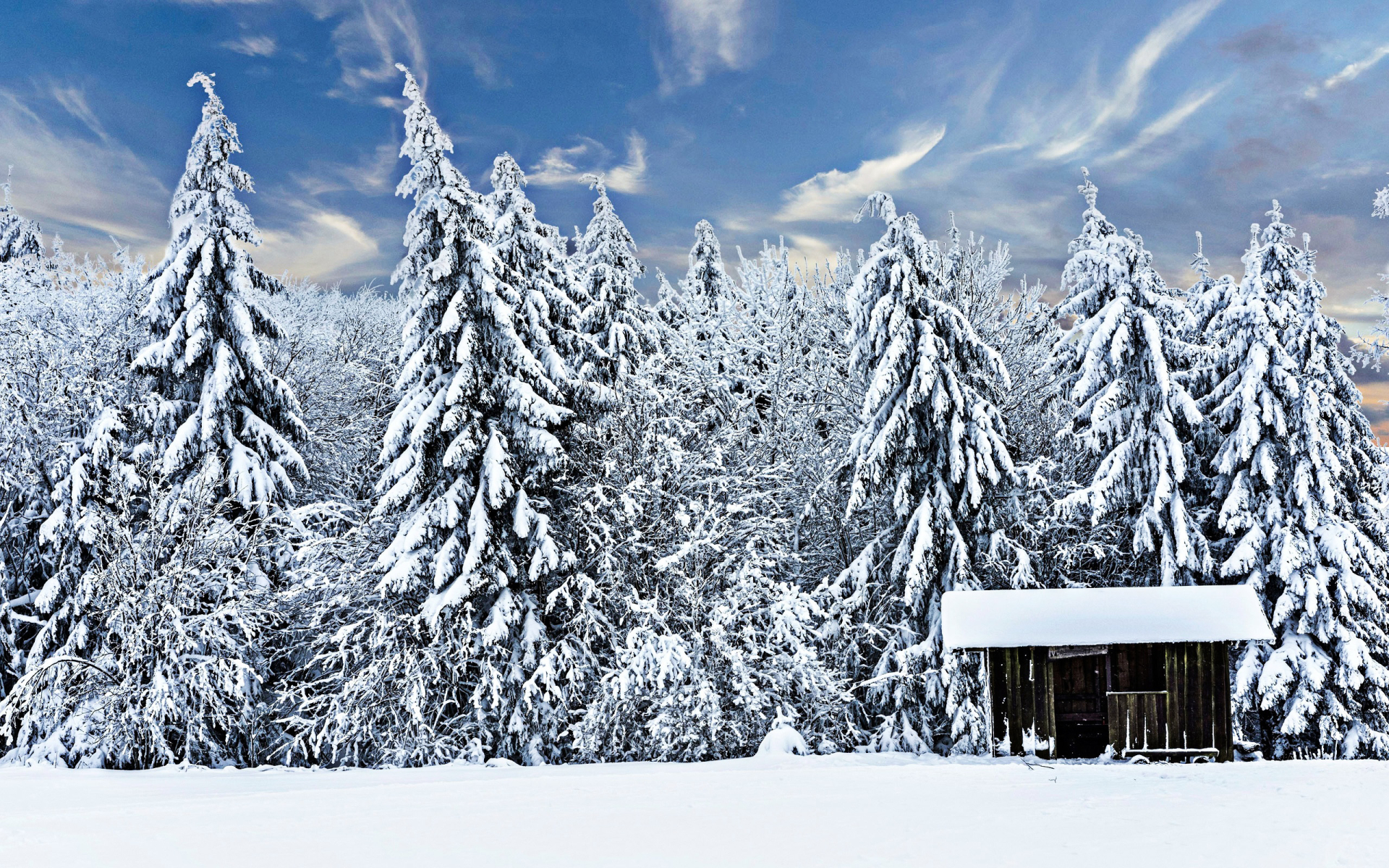 Free download wallpaper Winter, Snow, Forest, Cabin, Man Made on your PC desktop