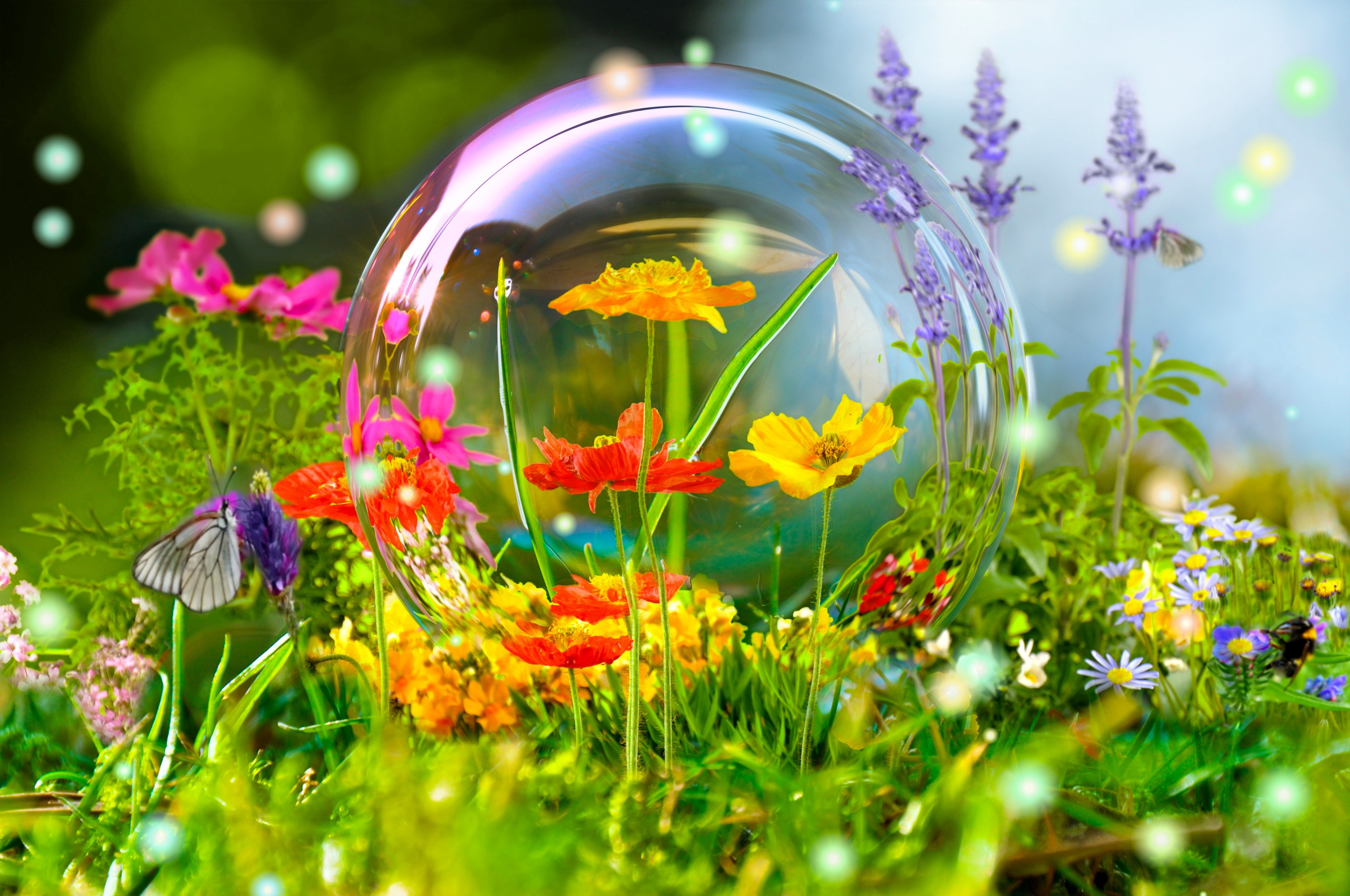Скачать картинку Пузыри, Цветок, Цвета, Бабочка, Красочный, Земля/природа, Манипуляции, Флауэрсы в телефон бесплатно.