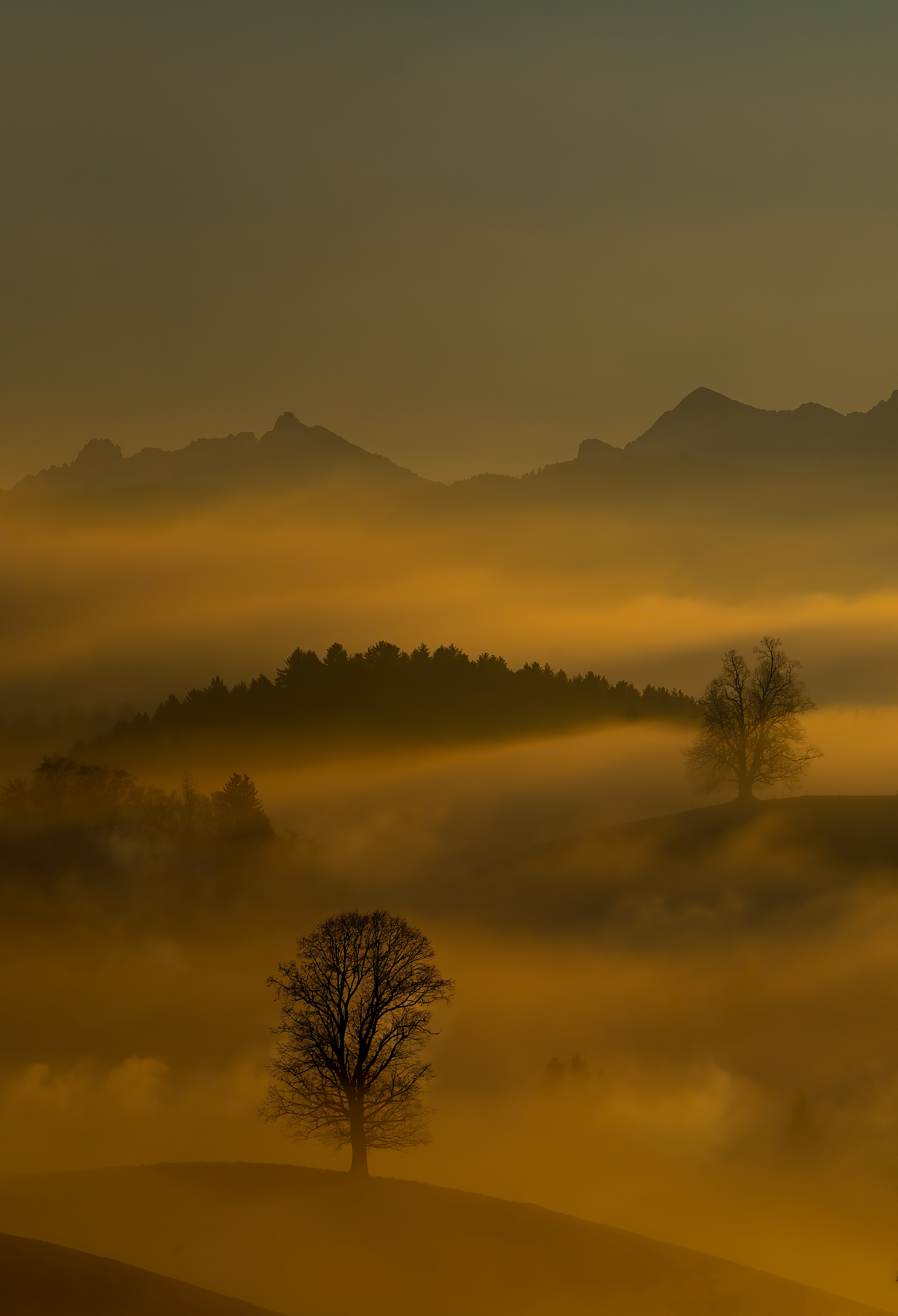 Download mobile wallpaper Fog, Mountains, Dusk, Trees, Nature, Twilight, Hills for free.