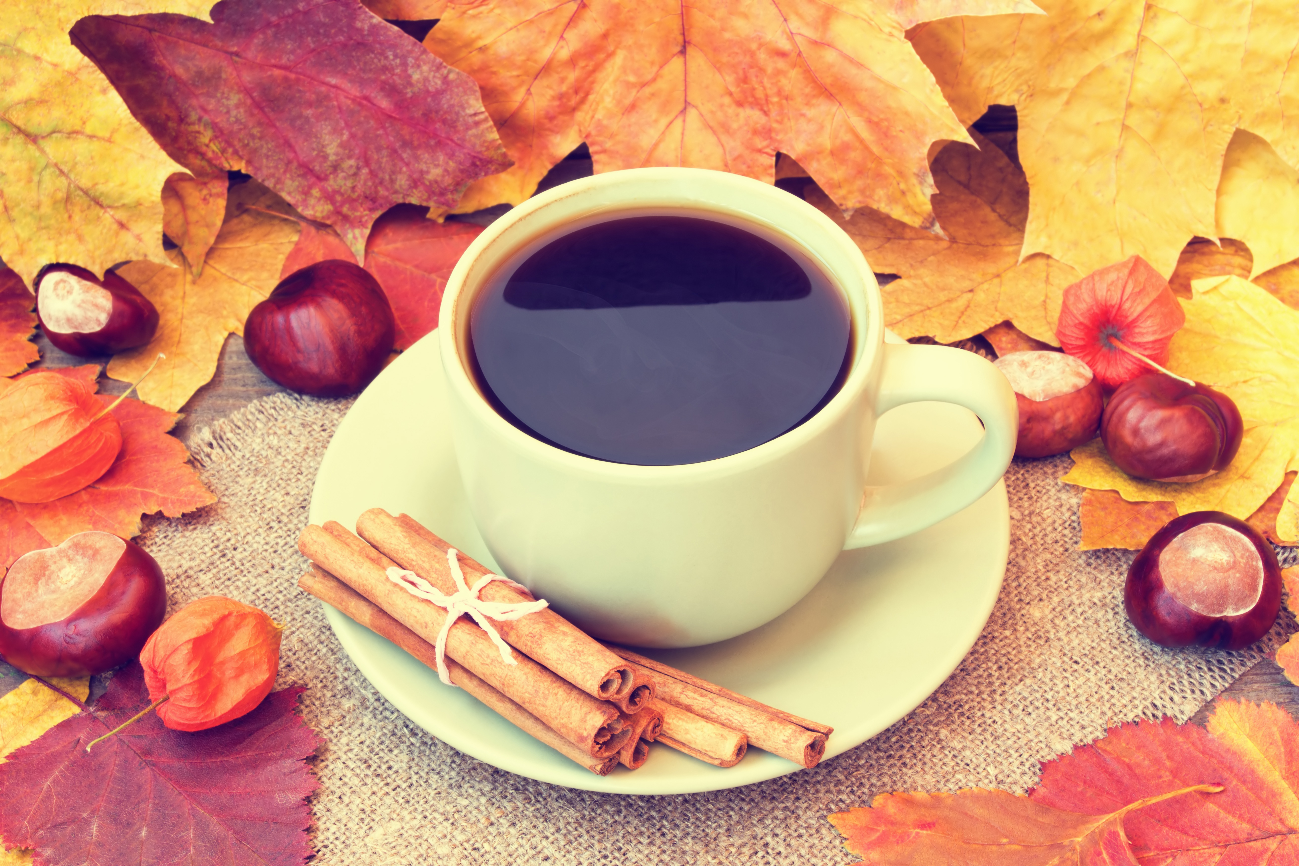 Laden Sie das Herbst, Tasse, Blatt, Zimt, Nahrungsmittel, Kaffee-Bild kostenlos auf Ihren PC-Desktop herunter