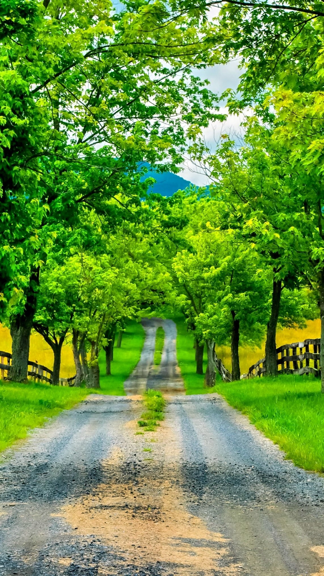 Download mobile wallpaper Road, Tree, Path, Fence, Spring, Man Made, Tree Lined for free.