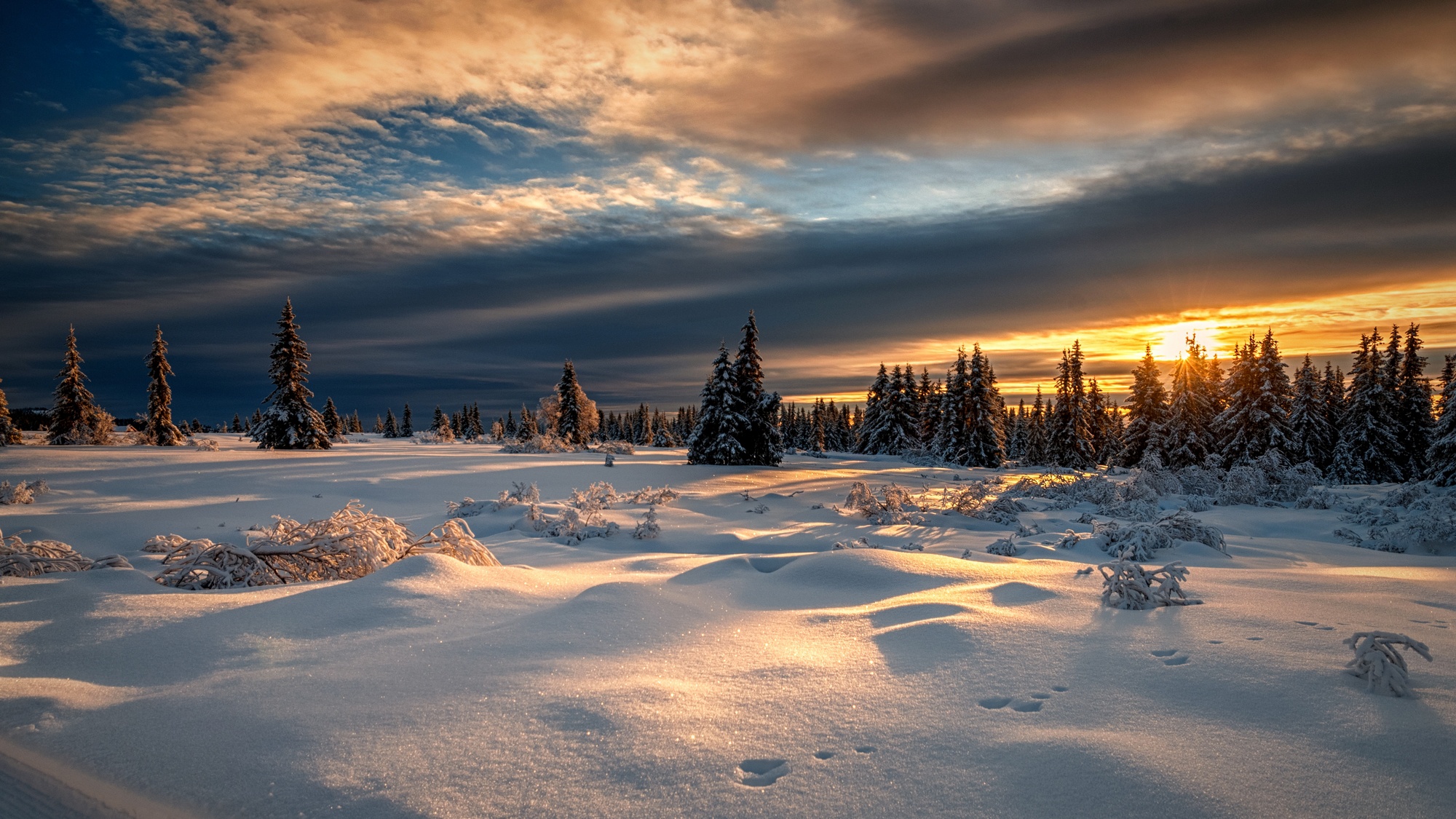 Скачать картинку Зима, Природа, Закат, Облака, Снег, Земля/природа в телефон бесплатно.