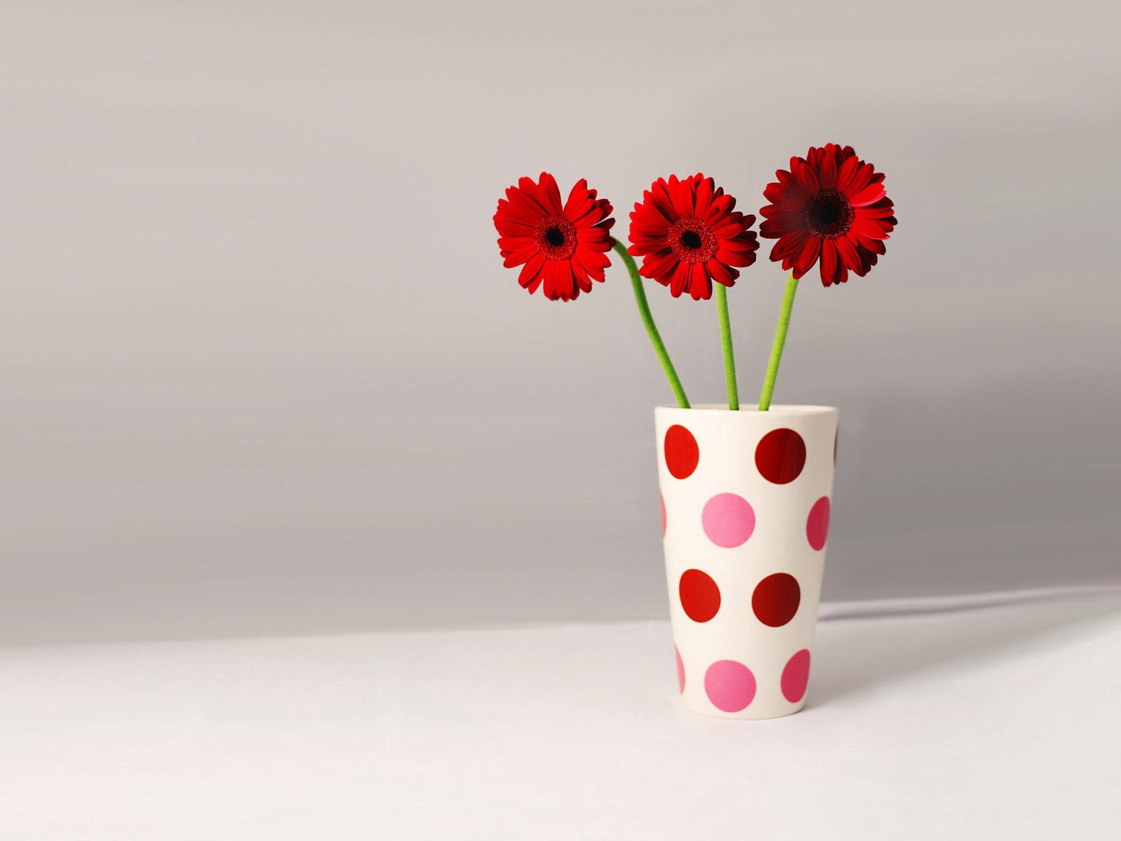 minimalism, gerberas, three, flowers, vase, peas, pea