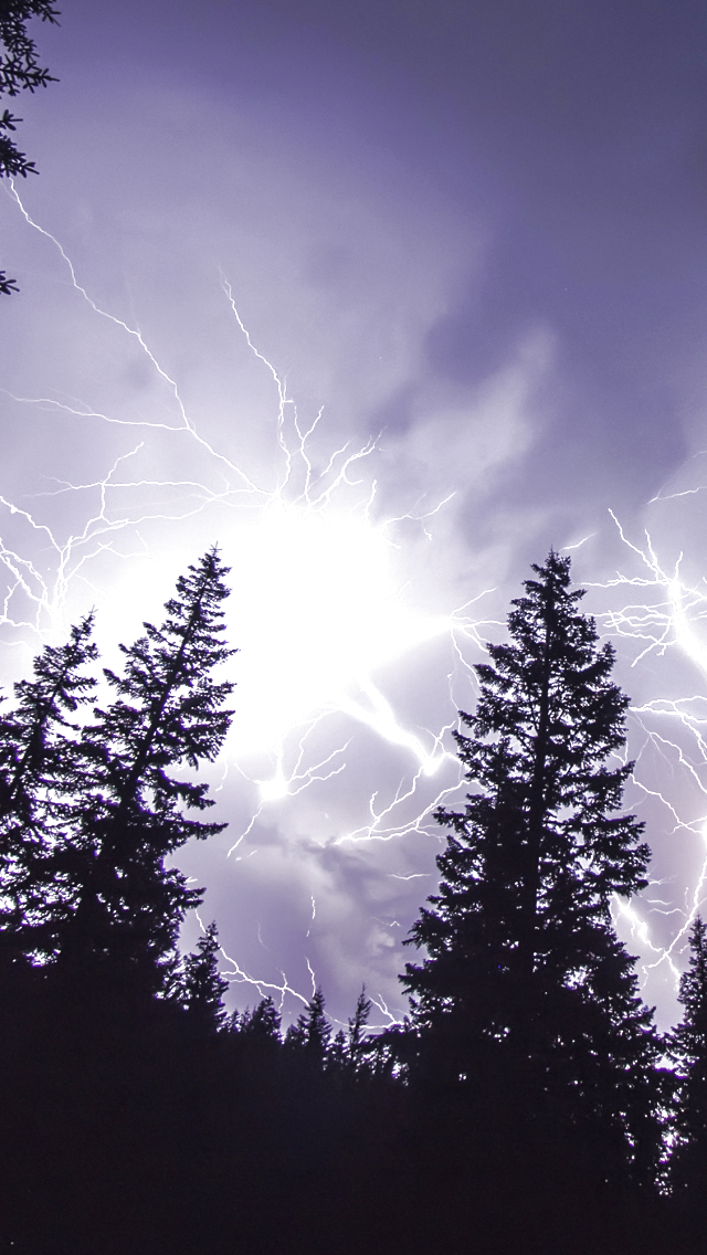 Download mobile wallpaper Sky, Lightning, Tree, Photography for free.