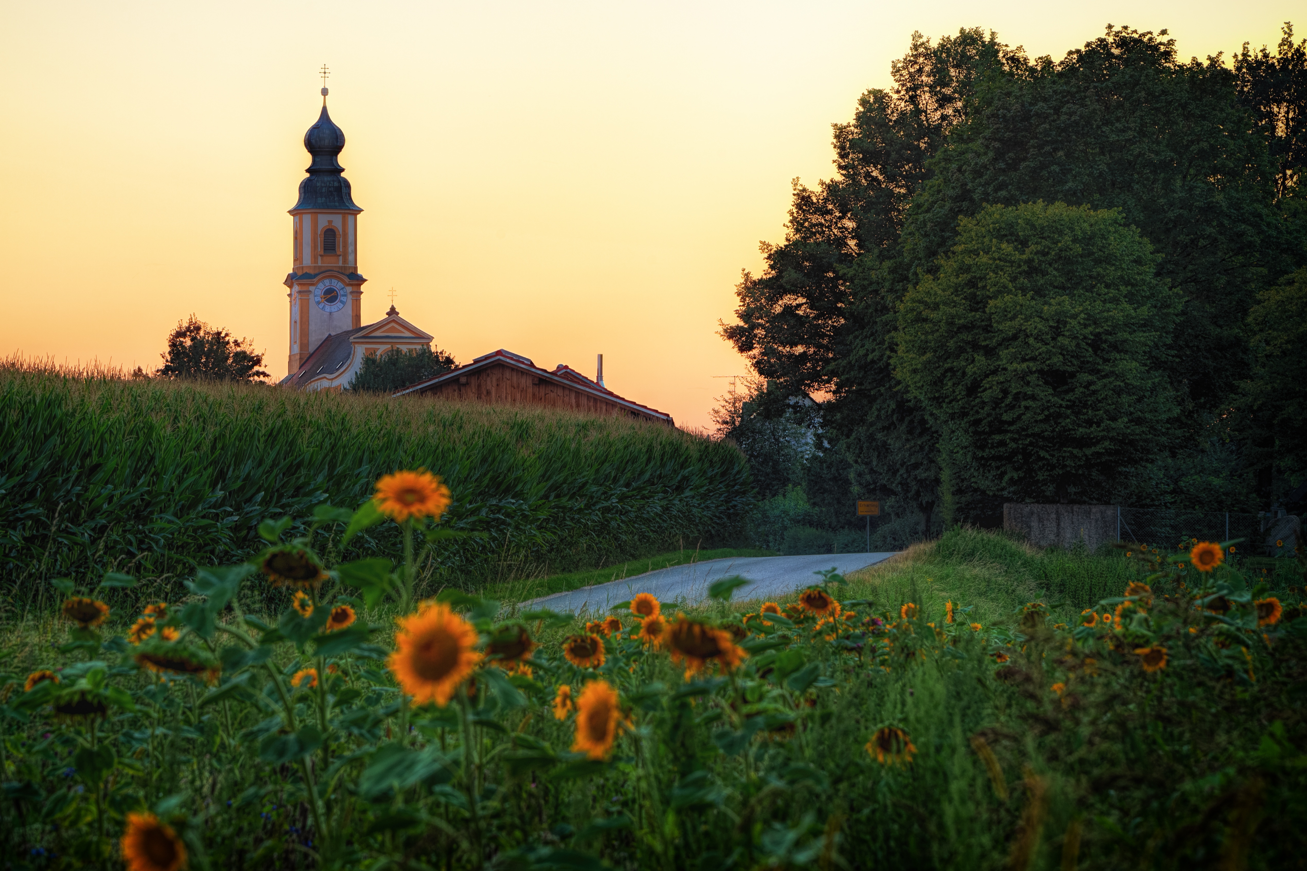 Download mobile wallpaper Road, Sunflower, Church, Germany, Churches, Religious for free.