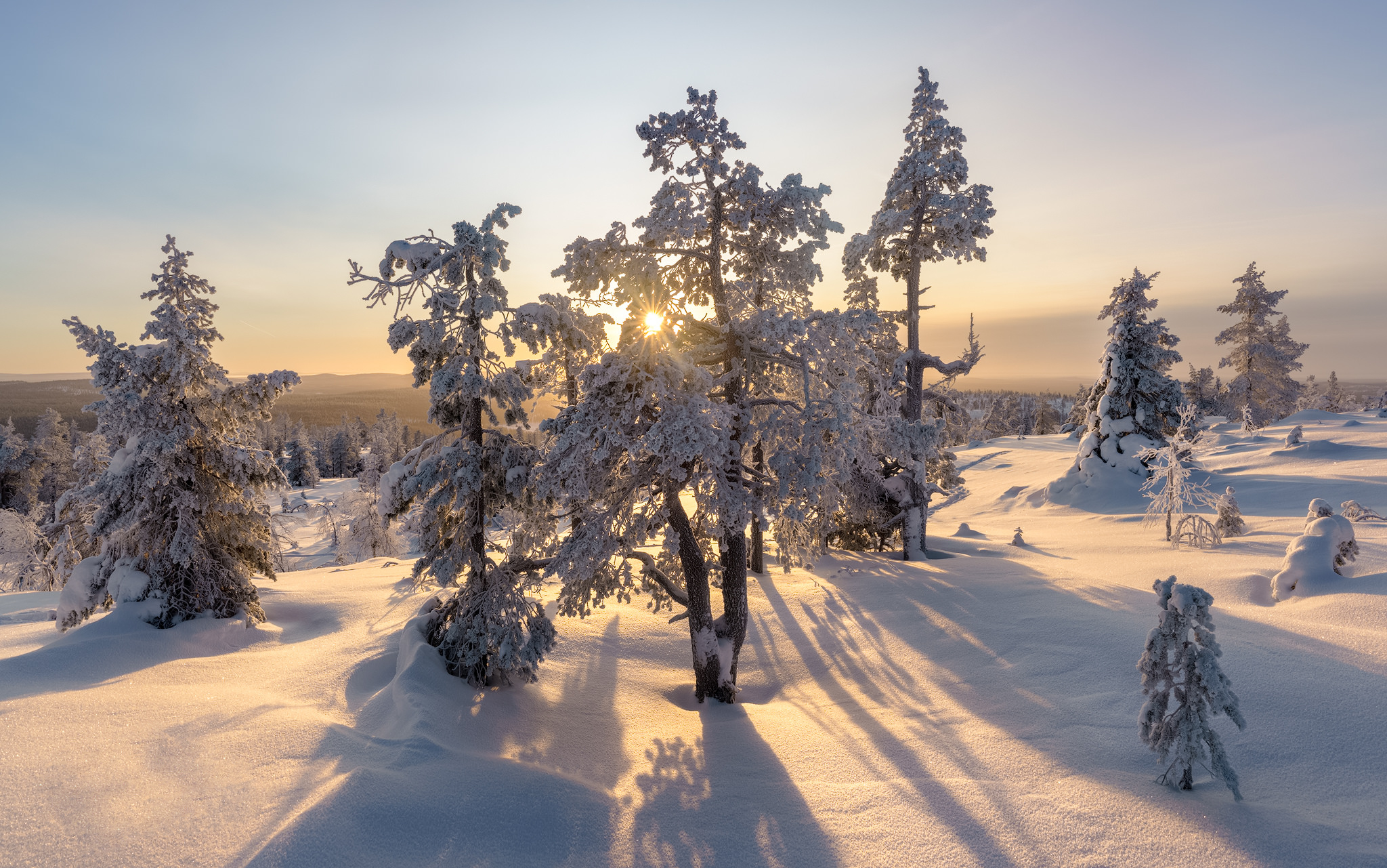 Download mobile wallpaper Winter, Sun, Snow, Forest, Tree, Earth, Dusk, Sunbeam for free.