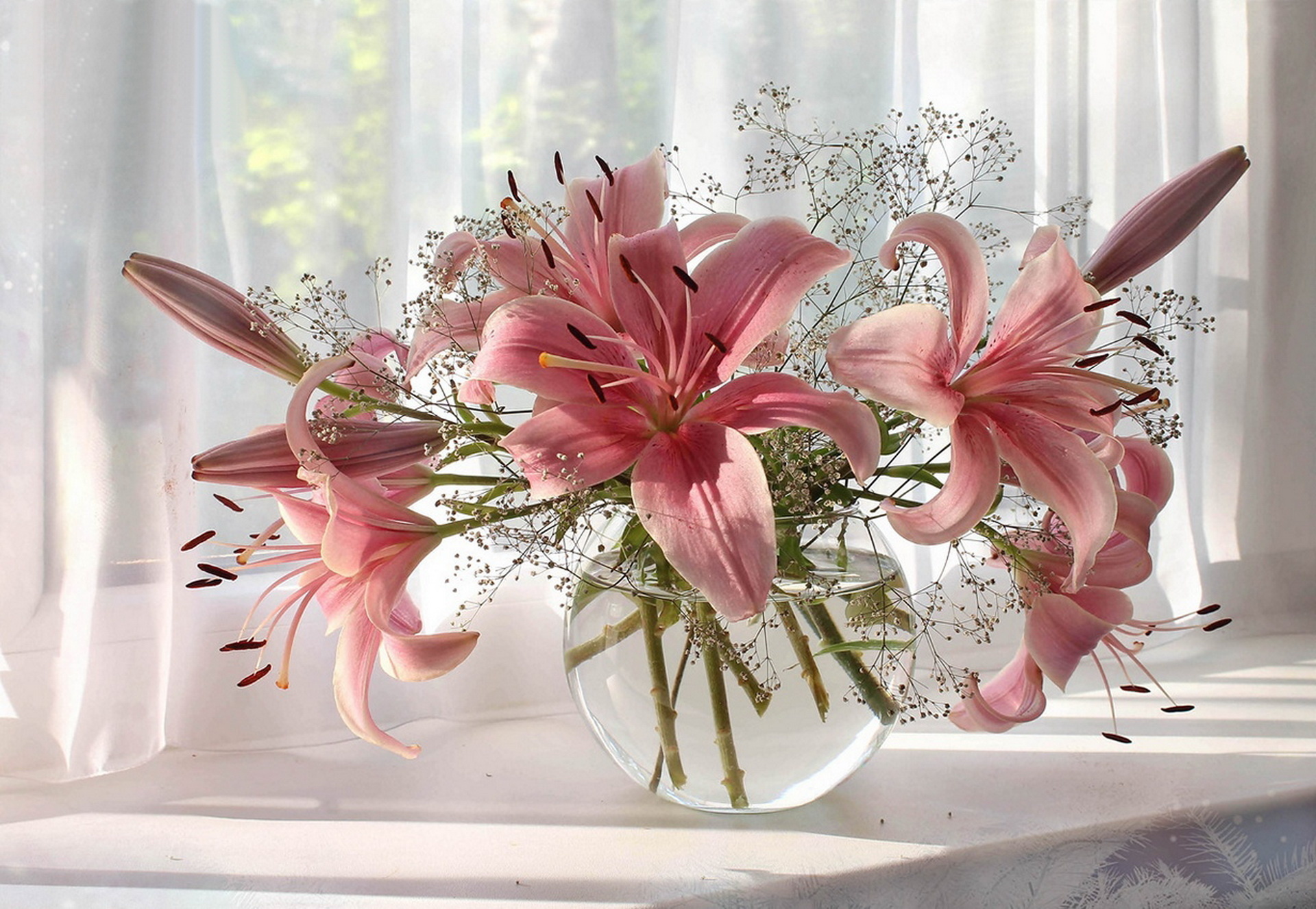 pink flower, vase, lily, man made, flower