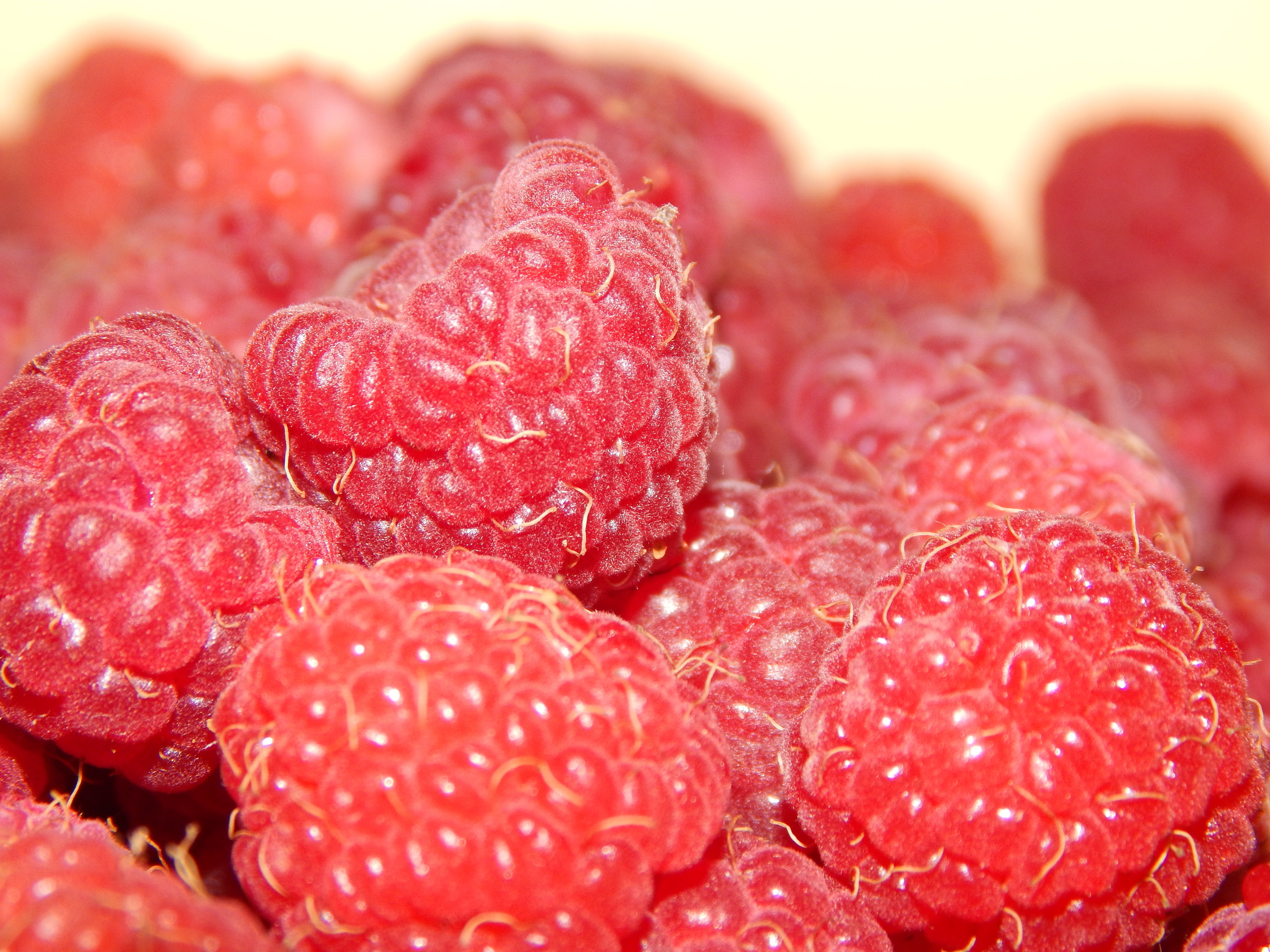 Free download wallpaper Fruits, Food, Raspberry, Berry, Fruit on your PC desktop