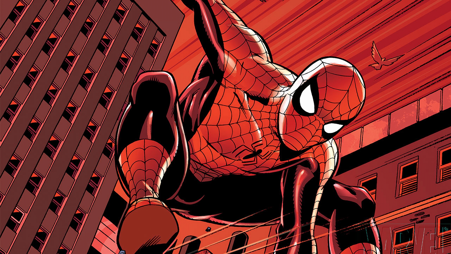 Handy-Wallpaper Comics, Spider Man kostenlos herunterladen.