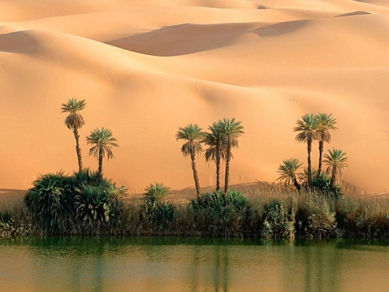 Download mobile wallpaper Desert, Landscape, Palms, Nature for free.