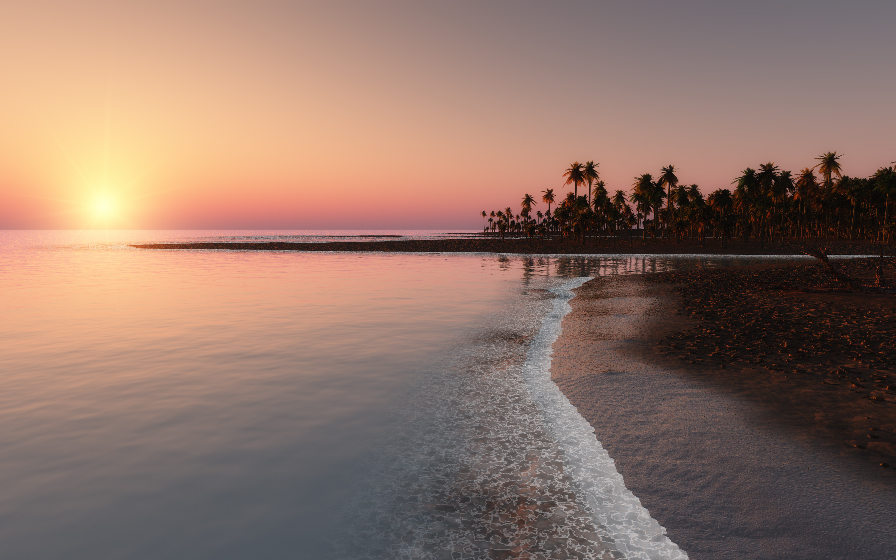 77608 télécharger l'image océan, sky, nature, coucher de soleil, palms, côte, tropiques - fonds d'écran et économiseurs d'écran gratuits