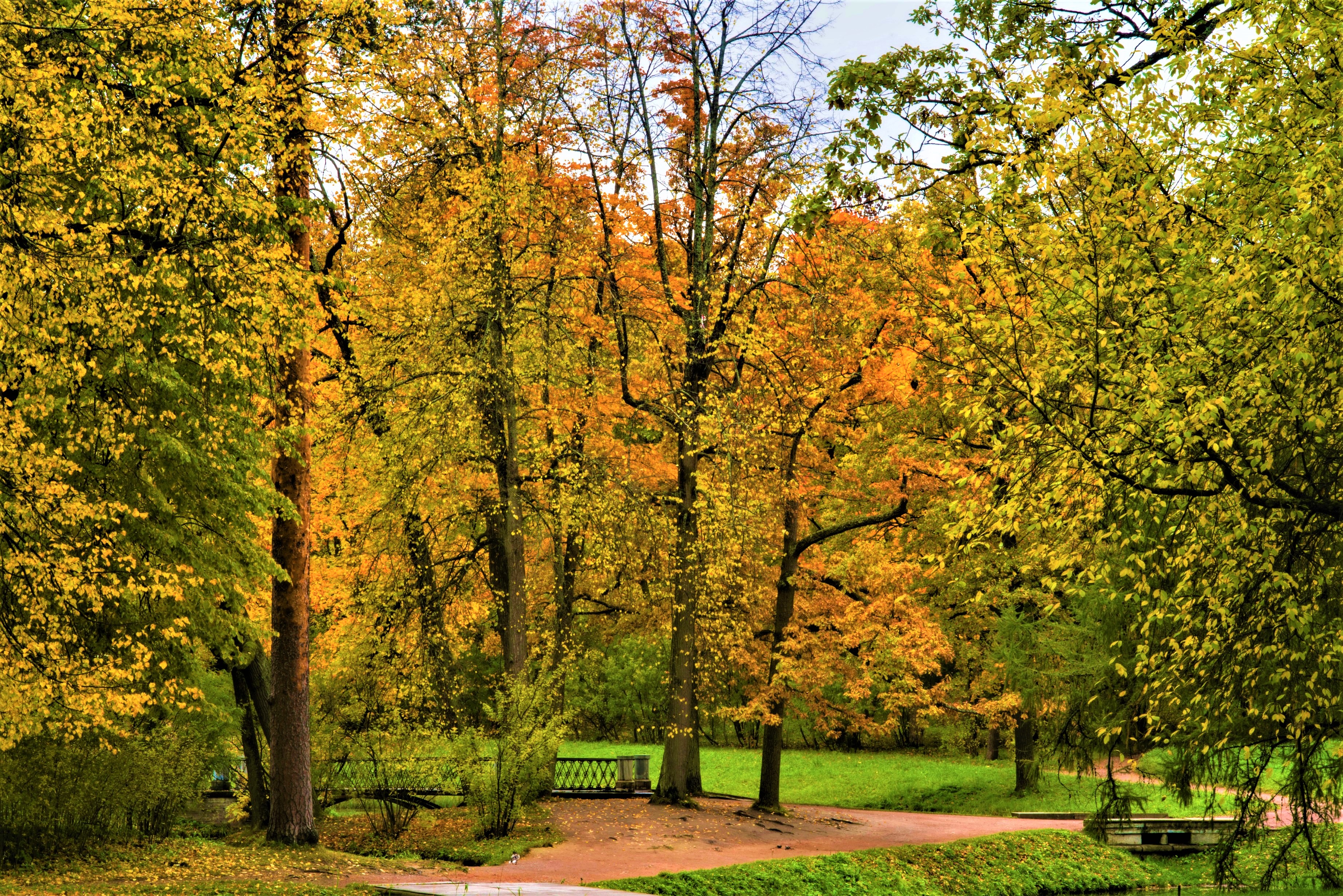 Free download wallpaper Park, Tree, Fall, Bridge, Photography on your PC desktop