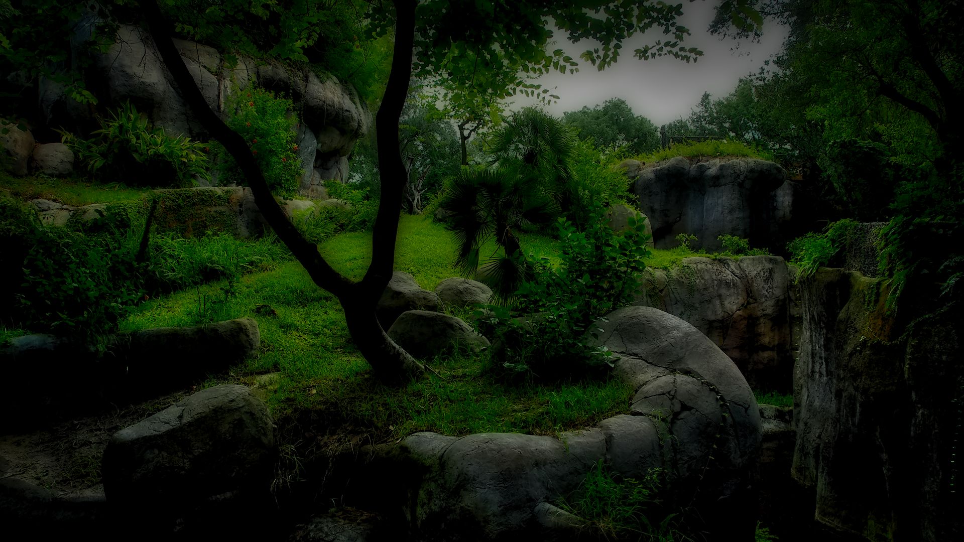 Download mobile wallpaper Earth, Hdr, Jungle for free.