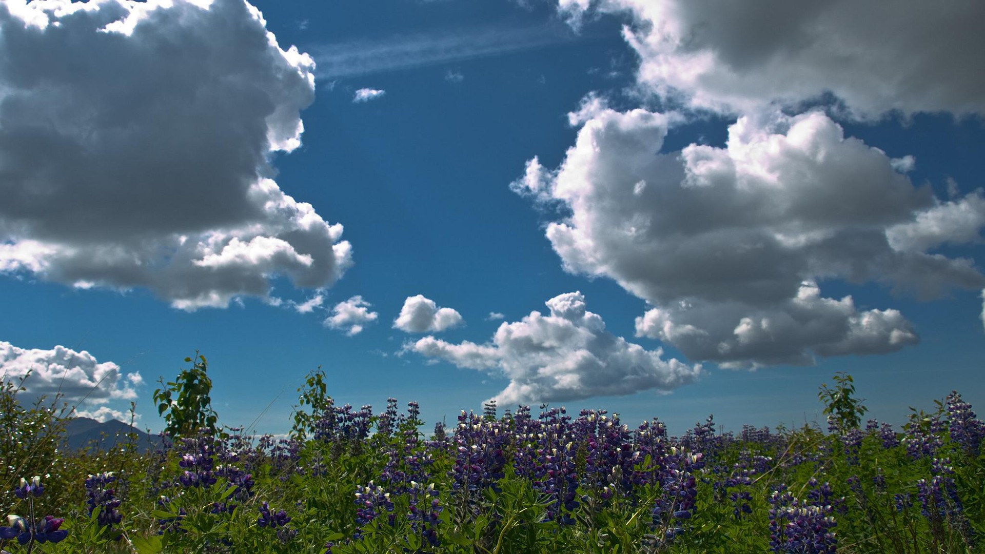 Handy-Wallpaper Wolke, Erde/natur kostenlos herunterladen.