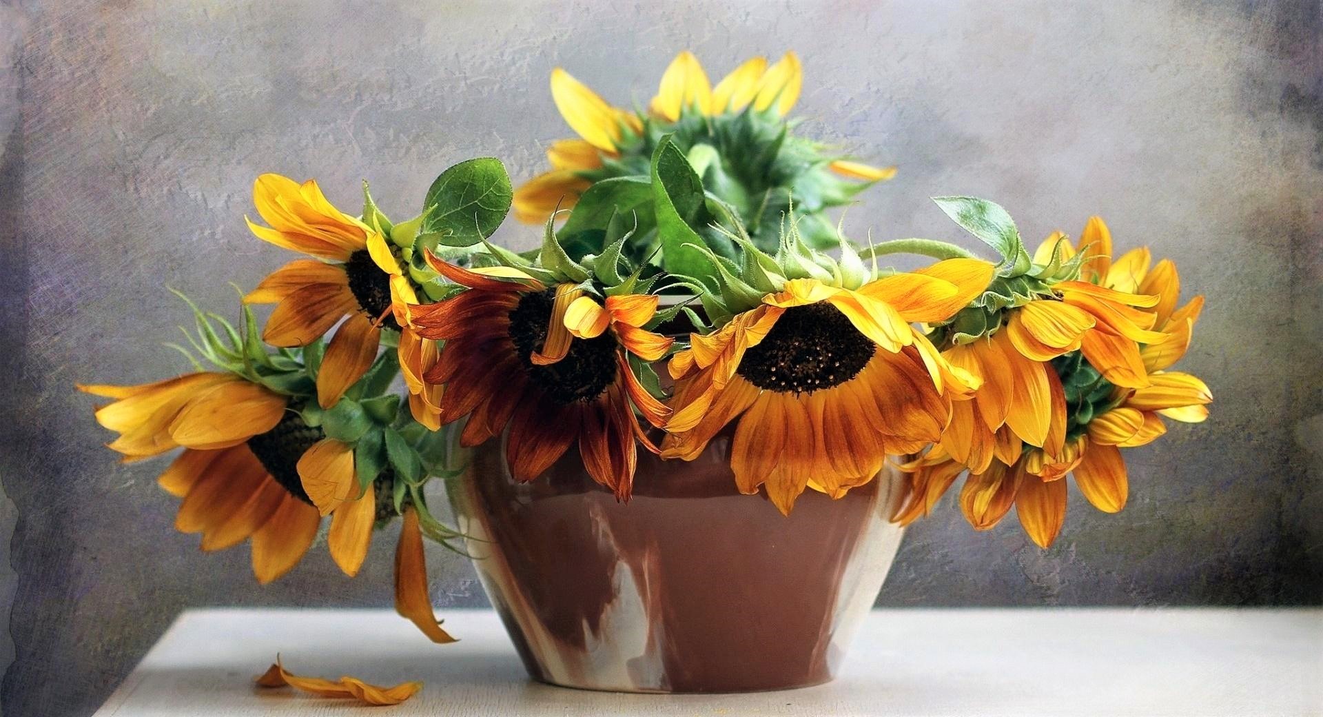 Download mobile wallpaper Flower, Vase, Sunflower, Yellow Flower, Man Made for free.
