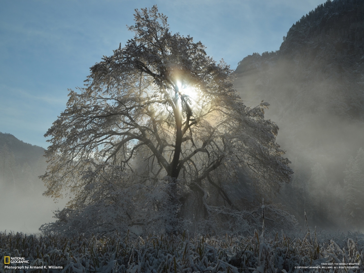 Free download wallpaper Winter, Trees, Sun, Landscape on your PC desktop