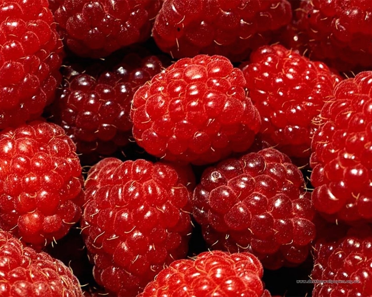 8529 скачать обои ягоды, малина, фон, красные, еда - заставки и картинки бесплатно