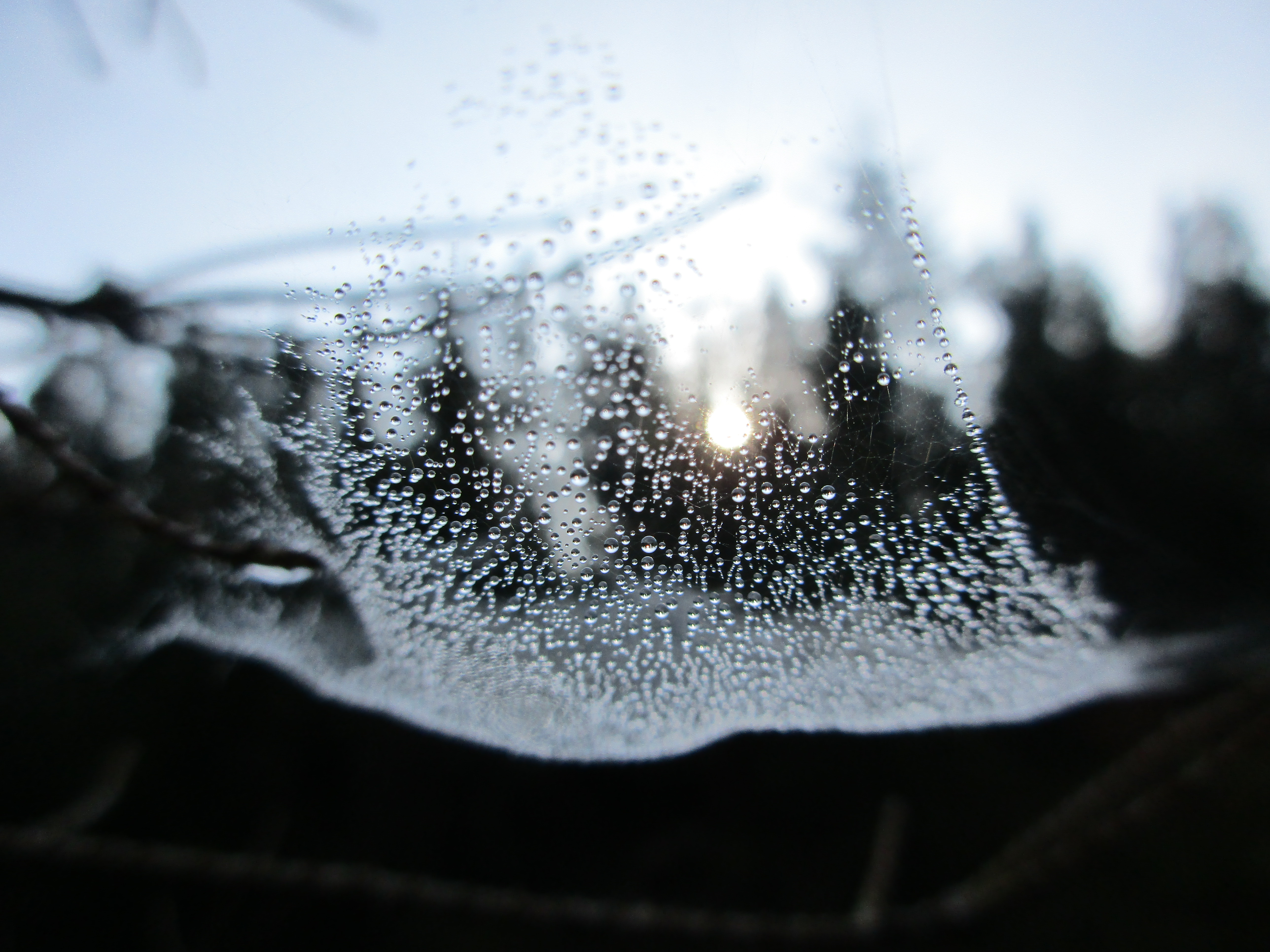 Free download wallpaper Sunrise, Photography, Water Drop, Spider Web on your PC desktop