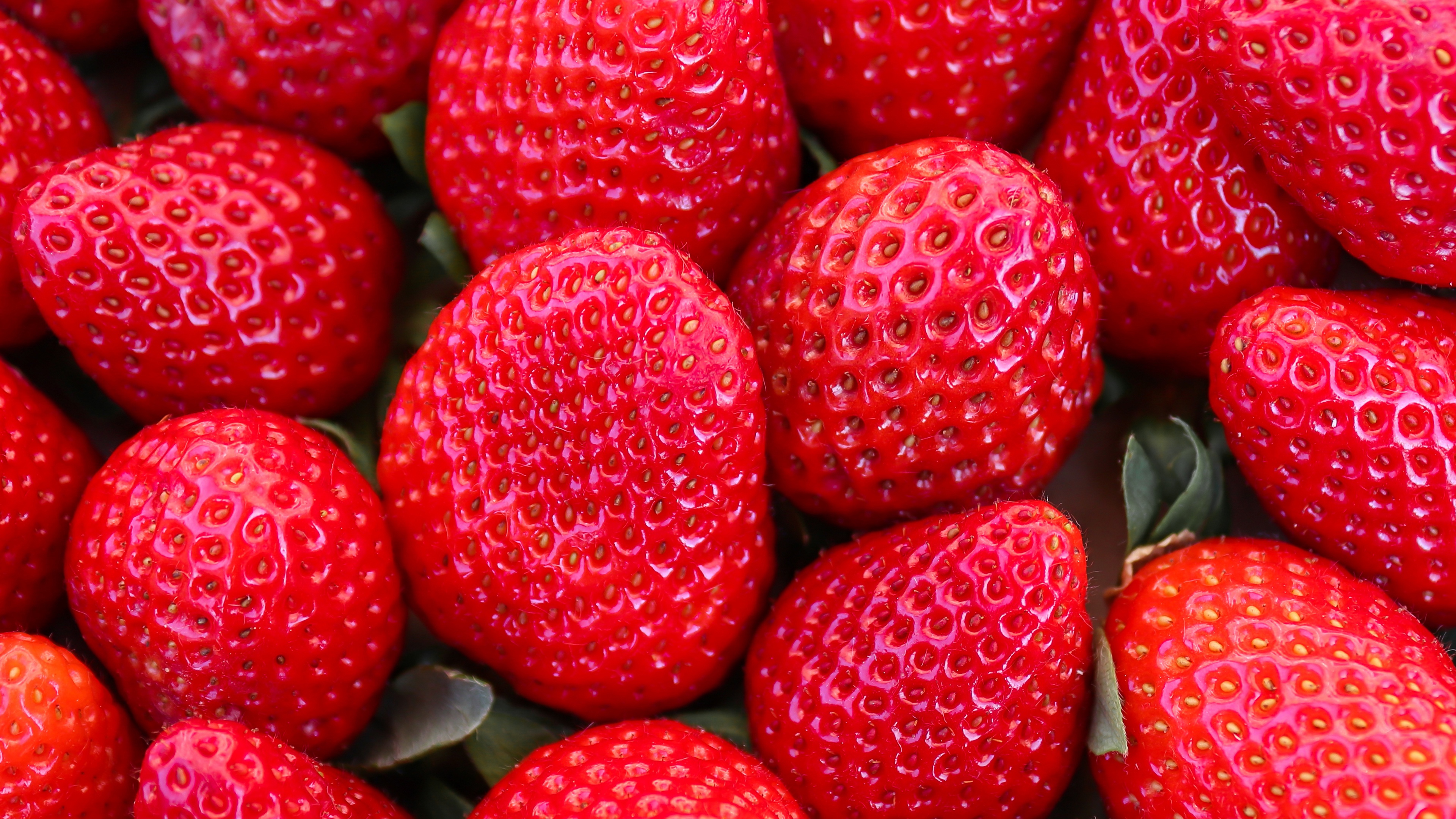  Strawberry HD Android Wallpapers