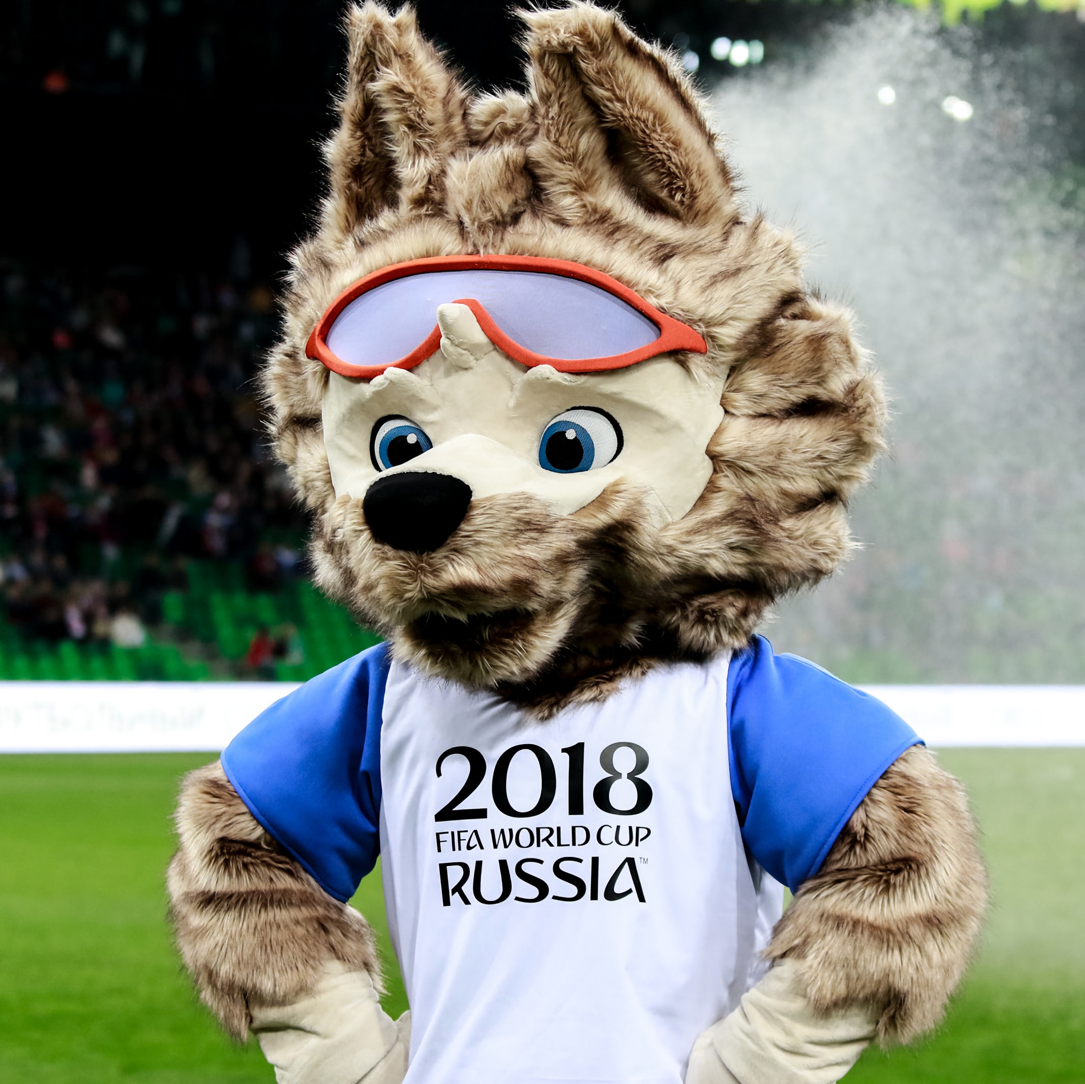 sports, football, fifa, mascot, talisman, zabivaka, world cup 2018