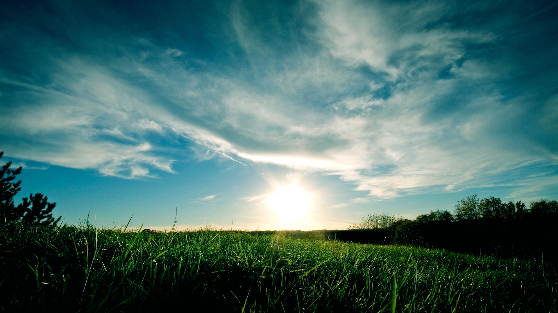Download mobile wallpaper Grass, Sky, Landscape for free.