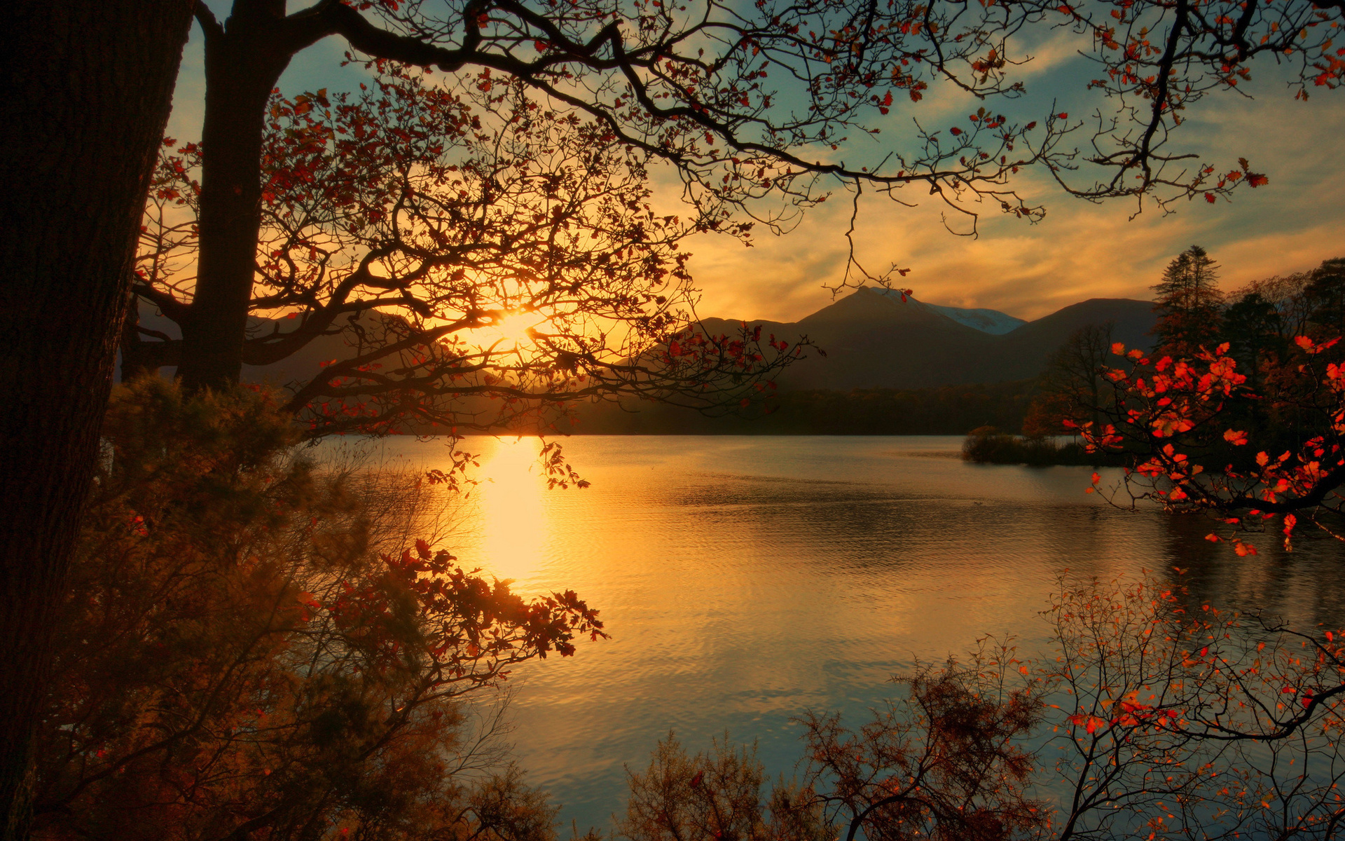 Laden Sie das Herbst, See, Baum, Sonnenuntergang, Erde/natur-Bild kostenlos auf Ihren PC-Desktop herunter