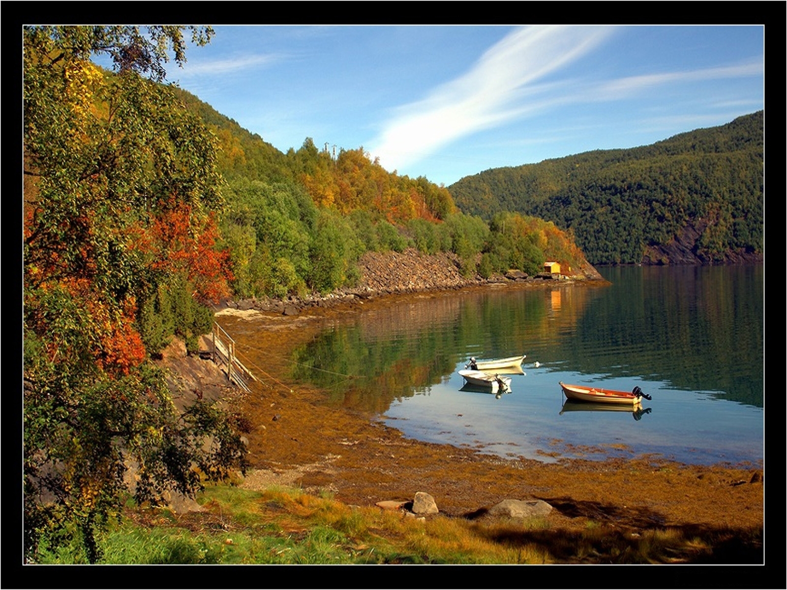 landscape, trees, water, boats Desktop home screen Wallpaper