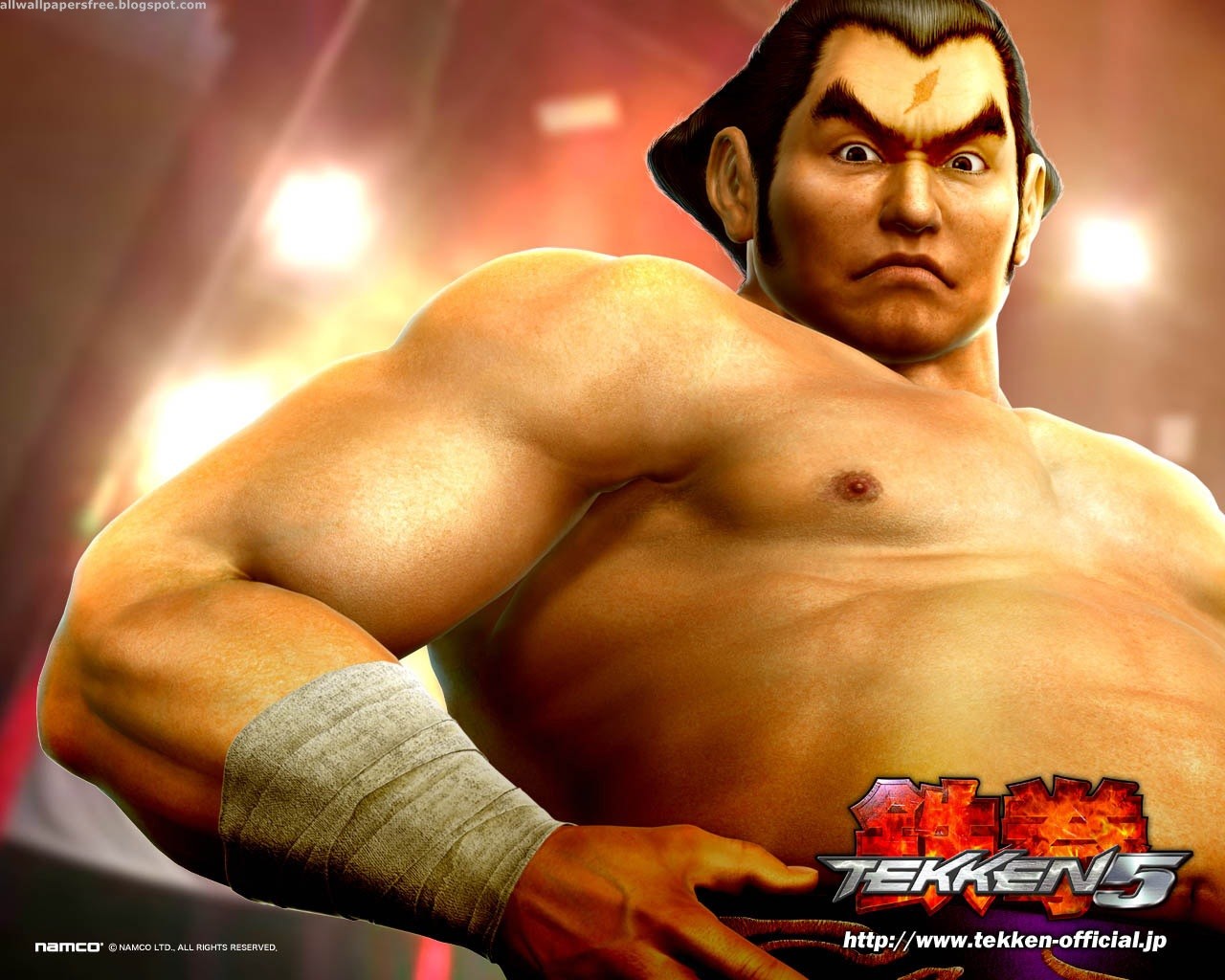 Handy-Wallpaper Computerspiele, Tekken 5 kostenlos herunterladen.