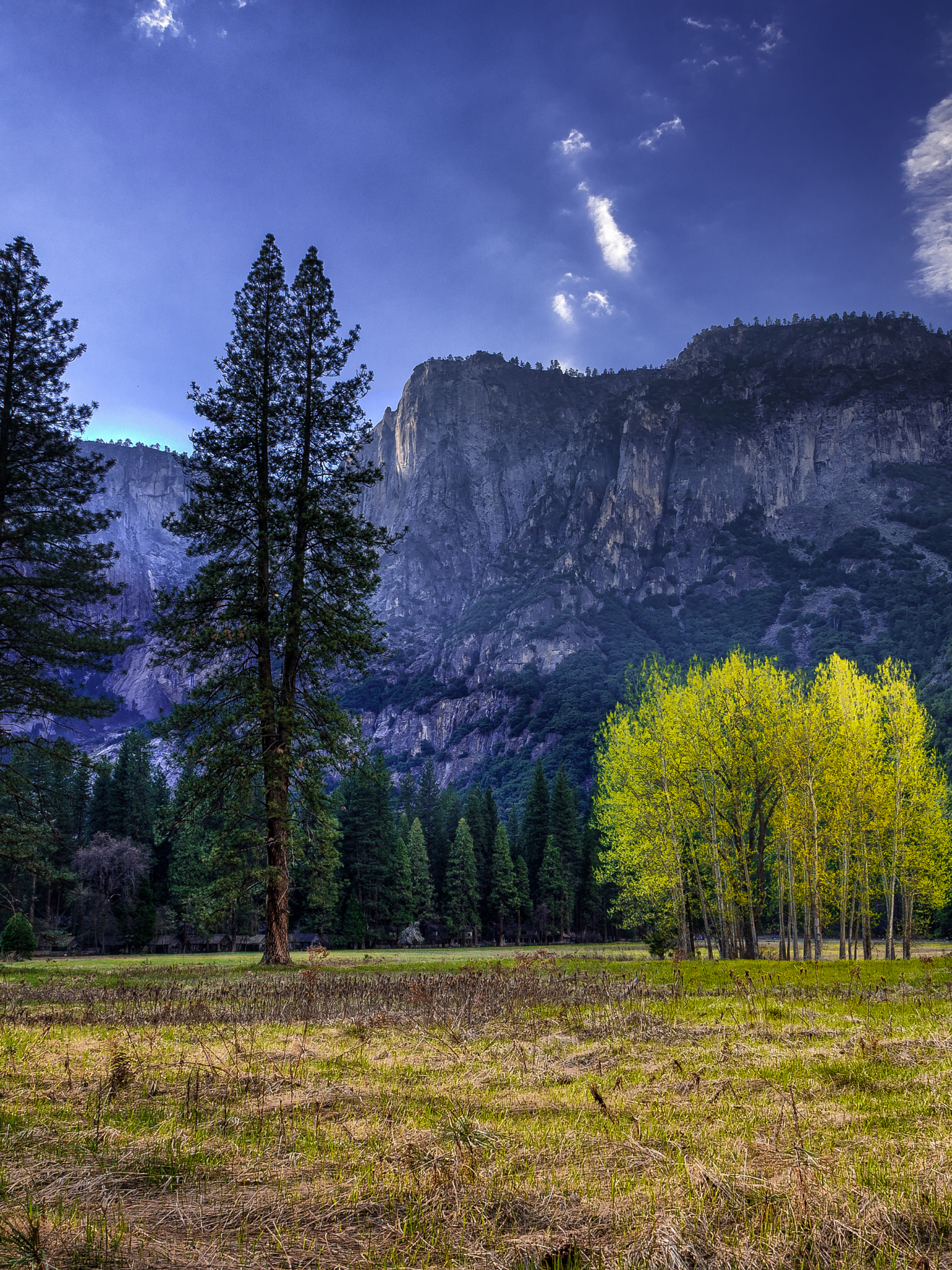 無料モバイル壁紙自然, 木, 山, 地球, 国立公園, カリフォルニア, ヨセミテ国立公園をダウンロードします。