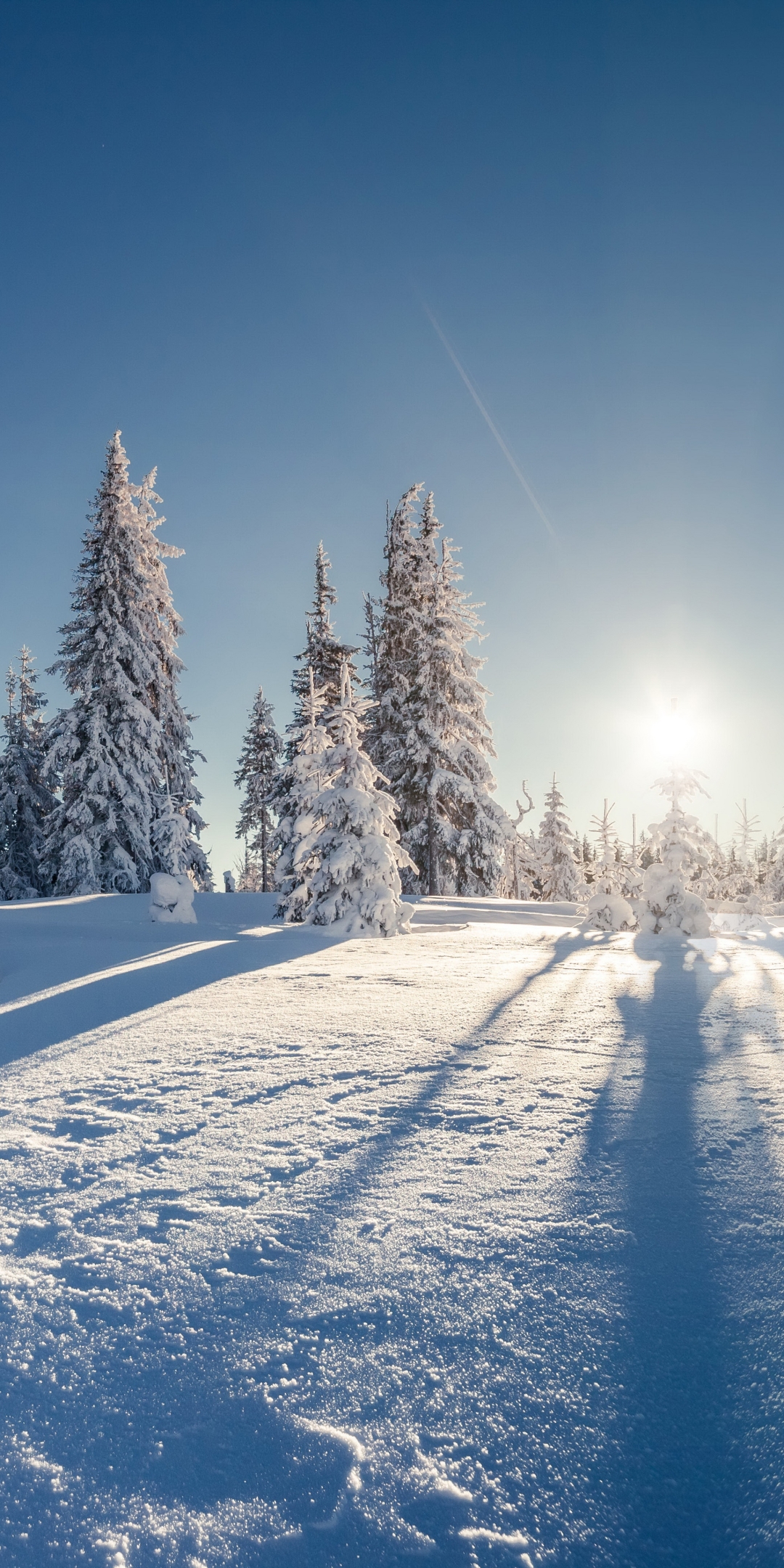 Скачать картинку Зима, Природа, Солнце, Снег, Дерево, Земля/природа в телефон бесплатно.