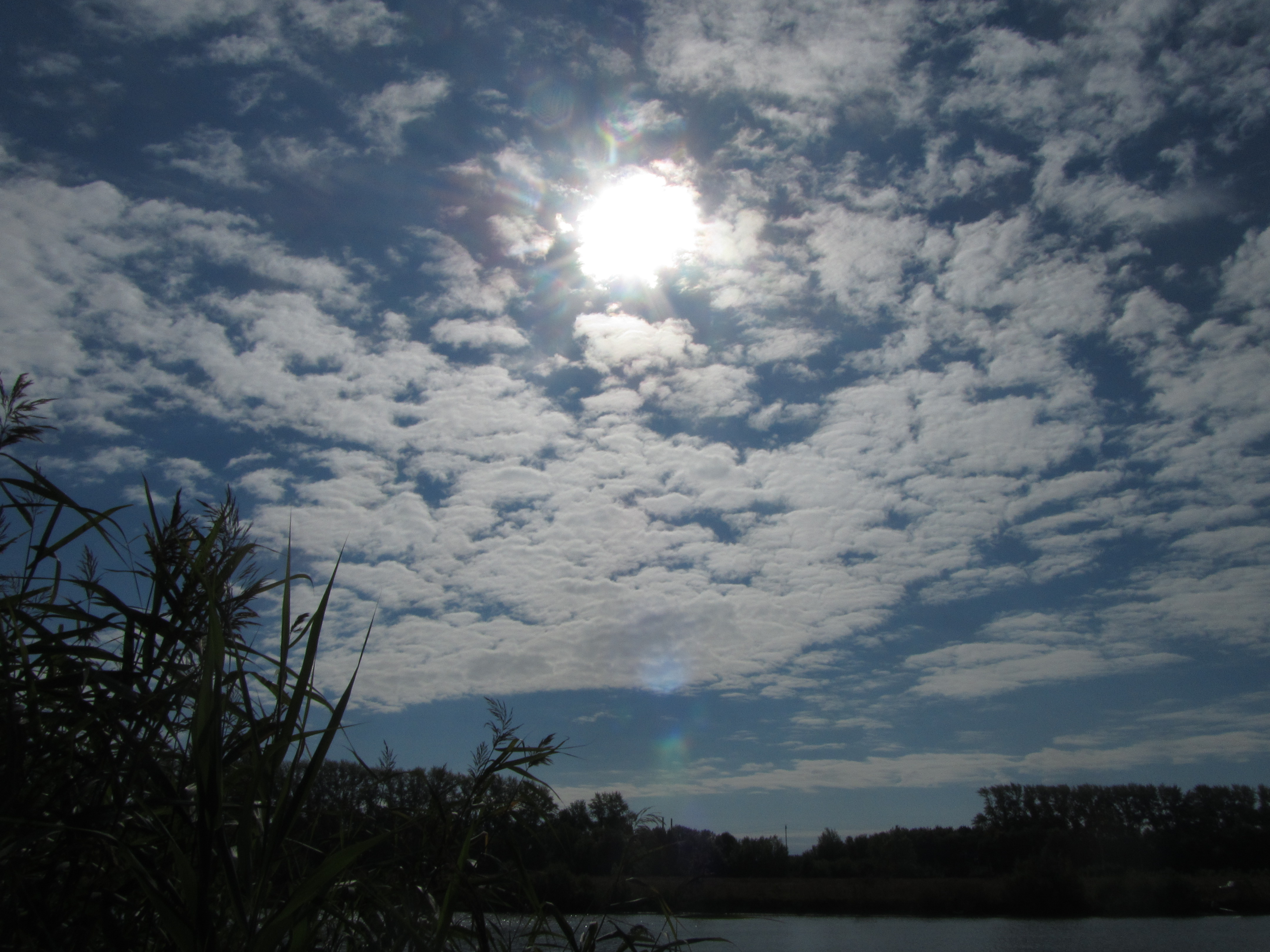 Descarga gratis la imagen Nube, Tierra/naturaleza en el escritorio de tu PC