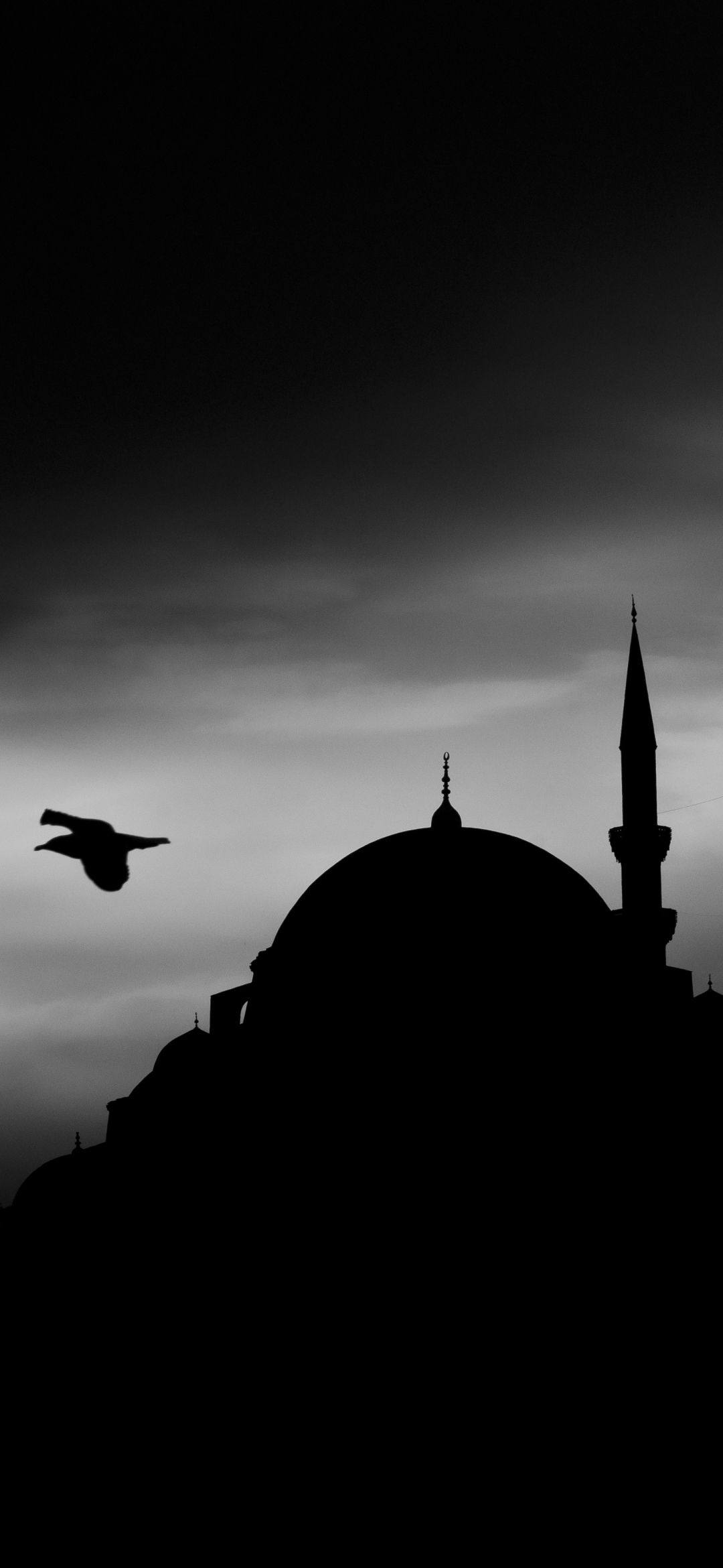 Скачать картинку Ночь, Силуэт, Мечеть, Стамбул, Религиозные, Мечеть Сулеймание, Мечети в телефон бесплатно.