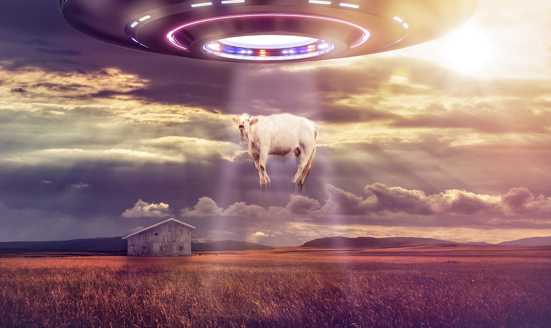 sci fi, abduction, ufo, spaceship, cow, field