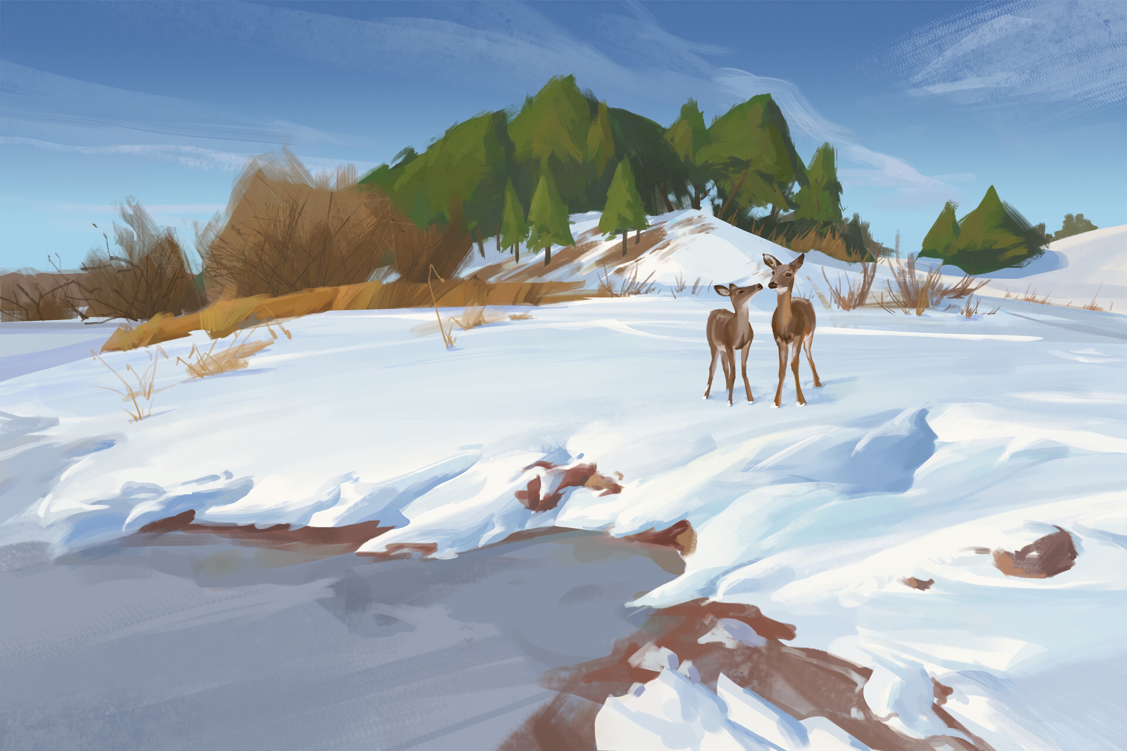 Free download wallpaper Art, Winter, Snow, Deers, Shore, Bank, Wildlife on your PC desktop