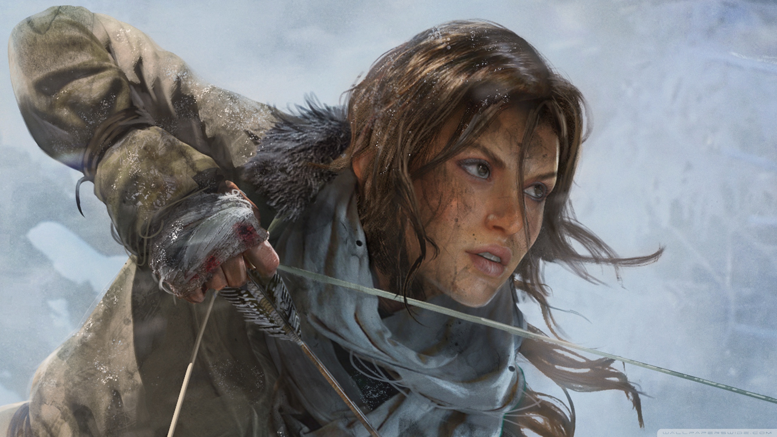 rise of the tomb raider, tomb raider, video game