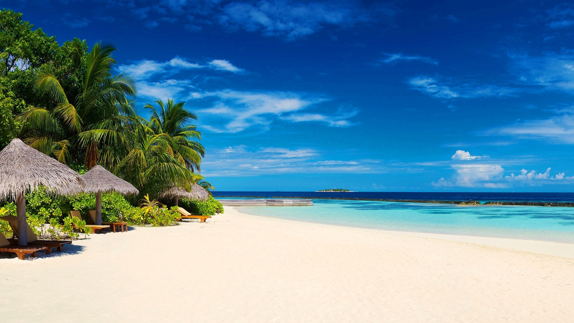 Laden Sie das Strand, Horizont, Stuhl, Ozean, Palme, Erde, Tropisch, Fotografie-Bild kostenlos auf Ihren PC-Desktop herunter