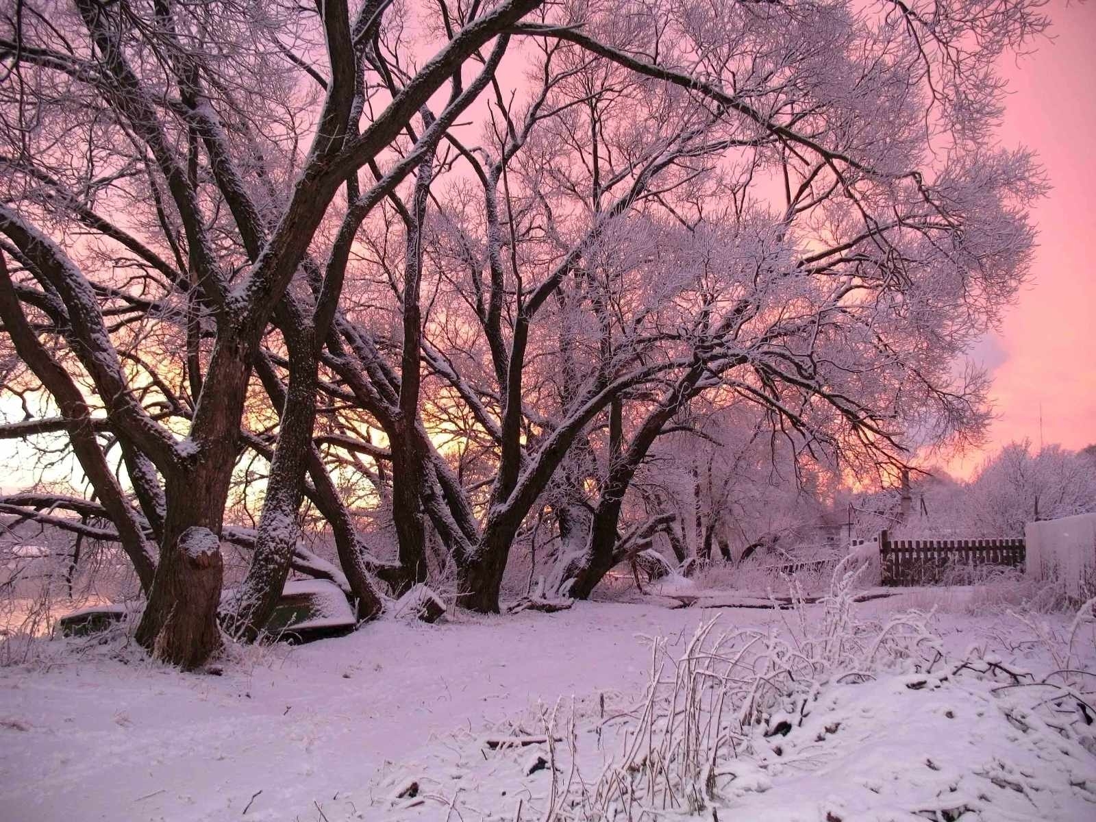 Скачать обои бесплатно Снег, Деревья, Пейзаж, Рассвет, Зима картинка на рабочий стол ПК