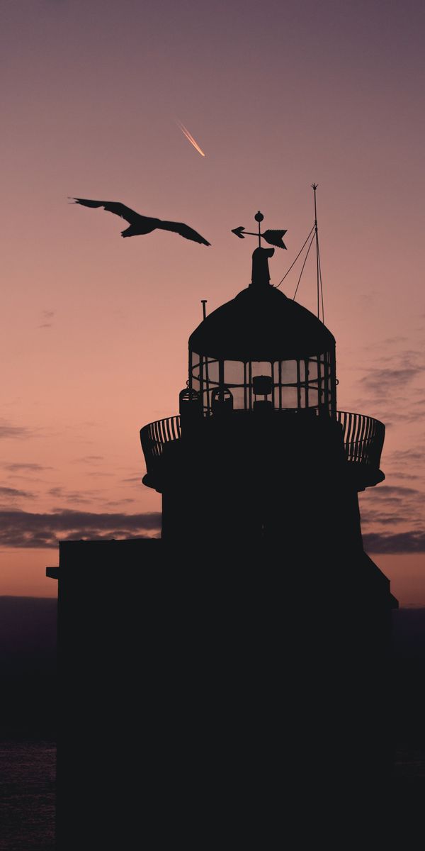 Phone wallpaper: Dark, Sunset, Building, Silhouette, Bird, Lighthouse 62502