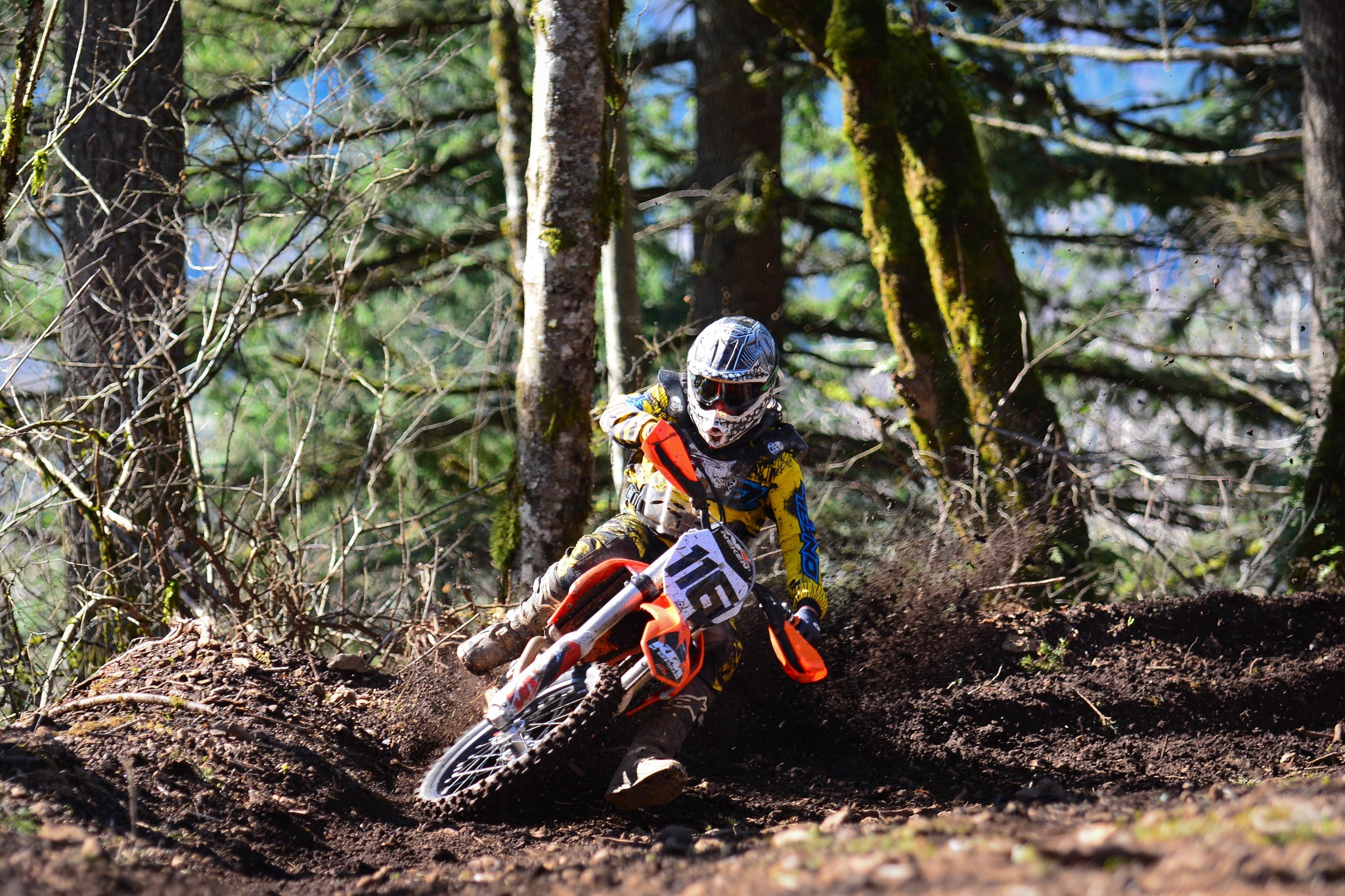 Download mobile wallpaper Sports, Motocross, Forest, Motorcycle, Ktm for free.