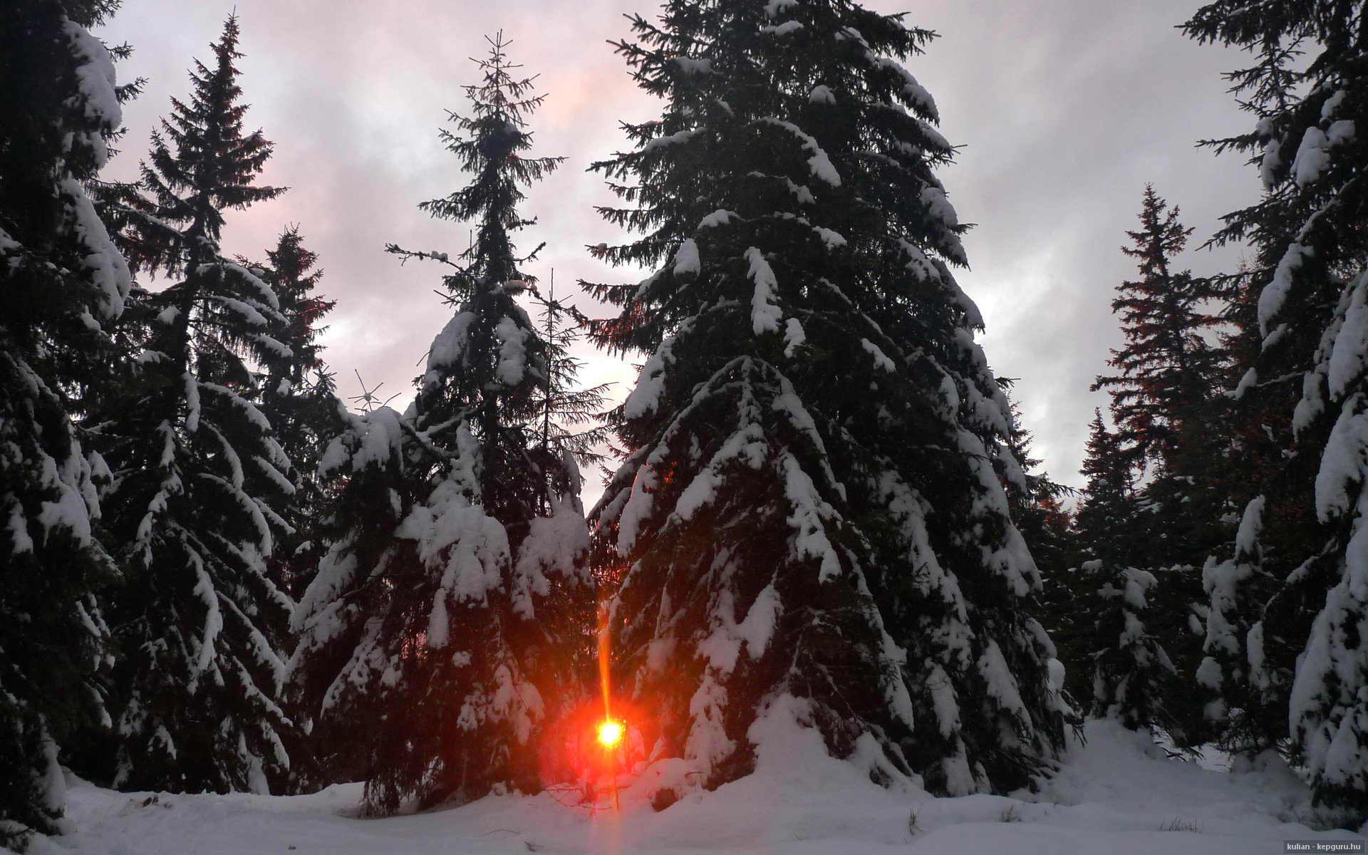 Laden Sie das Winter, Erde/natur-Bild kostenlos auf Ihren PC-Desktop herunter