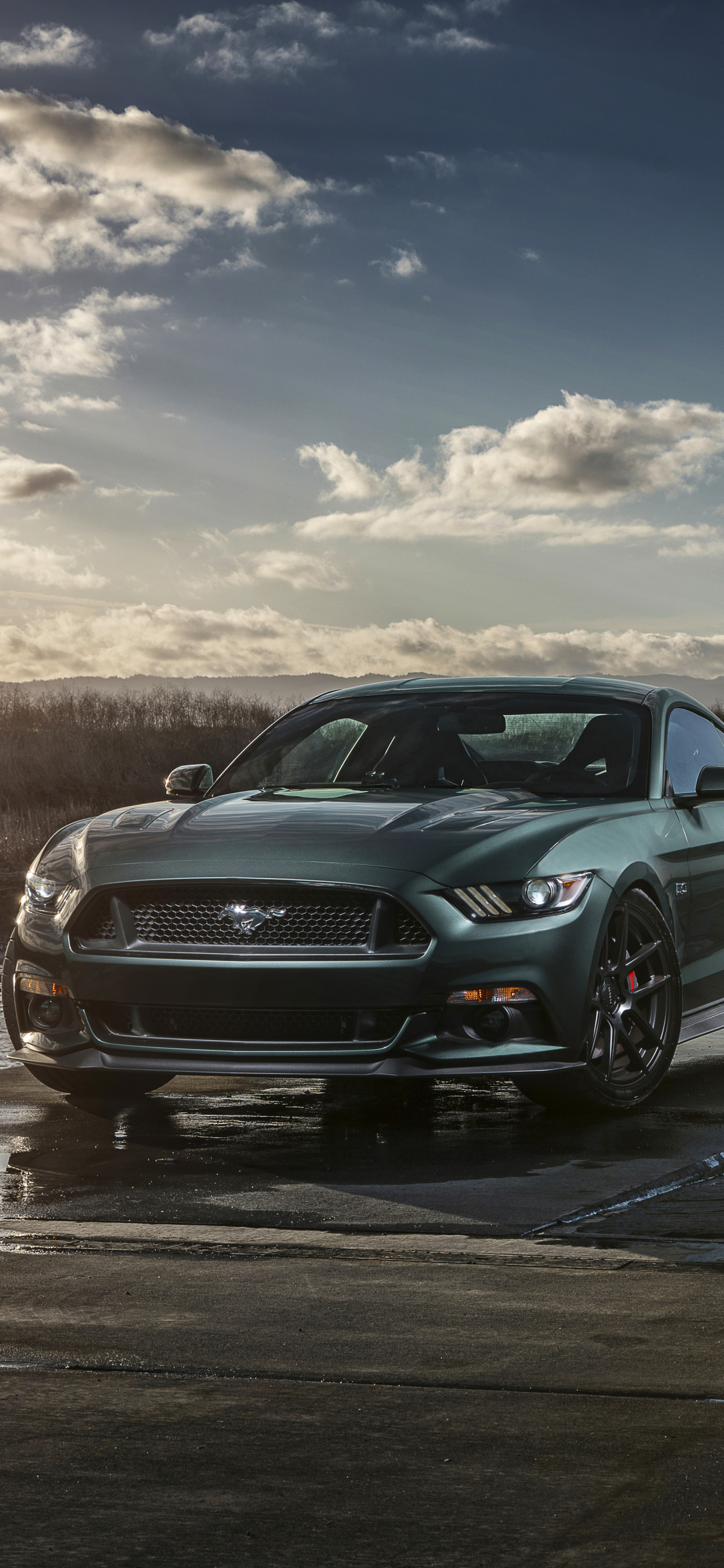 Download mobile wallpaper Ford, Car, Ford Mustang, Muscle Car, Ford Mustang Gt, Vehicle, Vehicles for free.