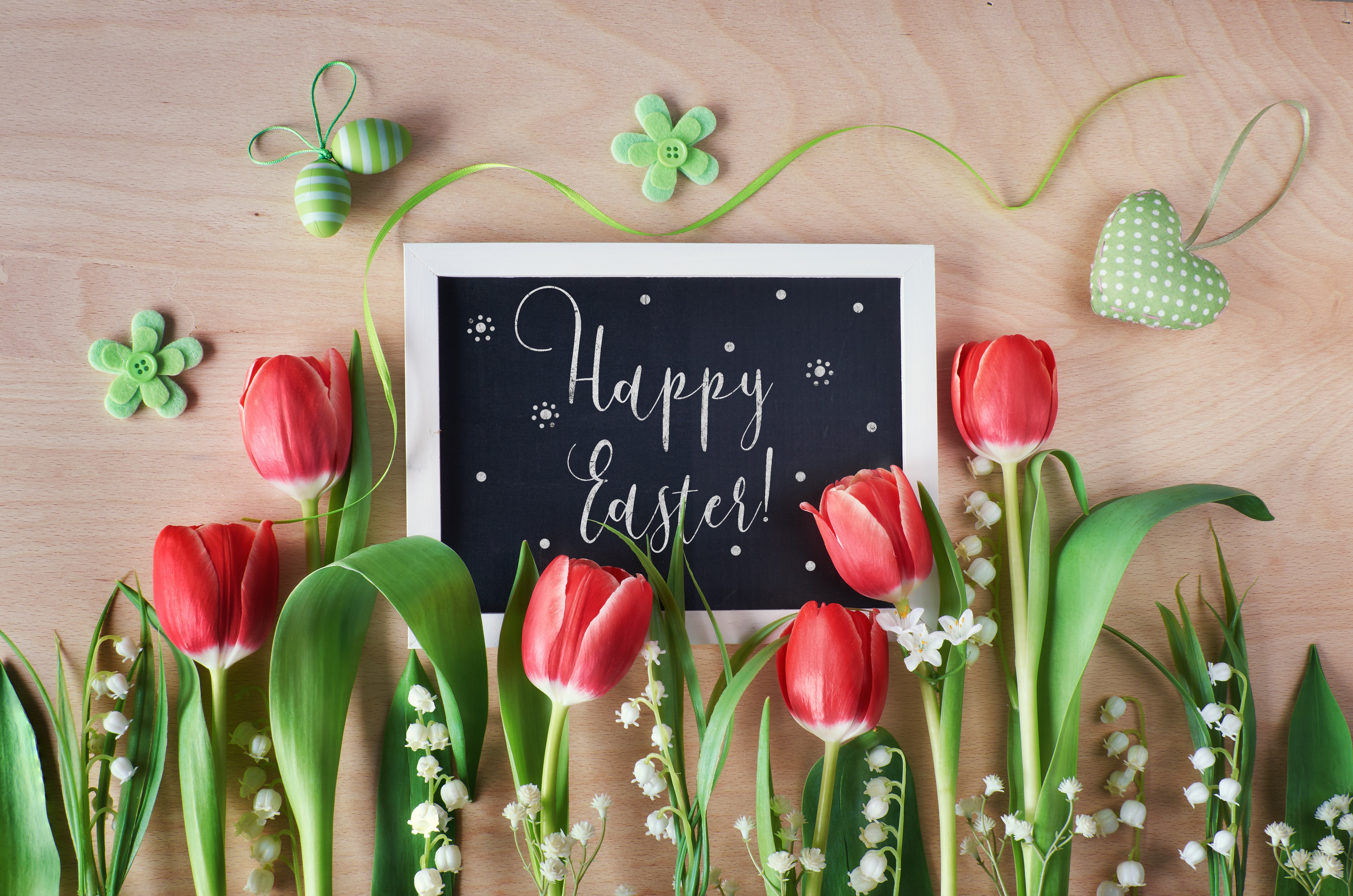 Téléchargez des papiers peints mobile Fleur, Vacances, Tulipe, Pâques, Joyeuses Pâques gratuitement.