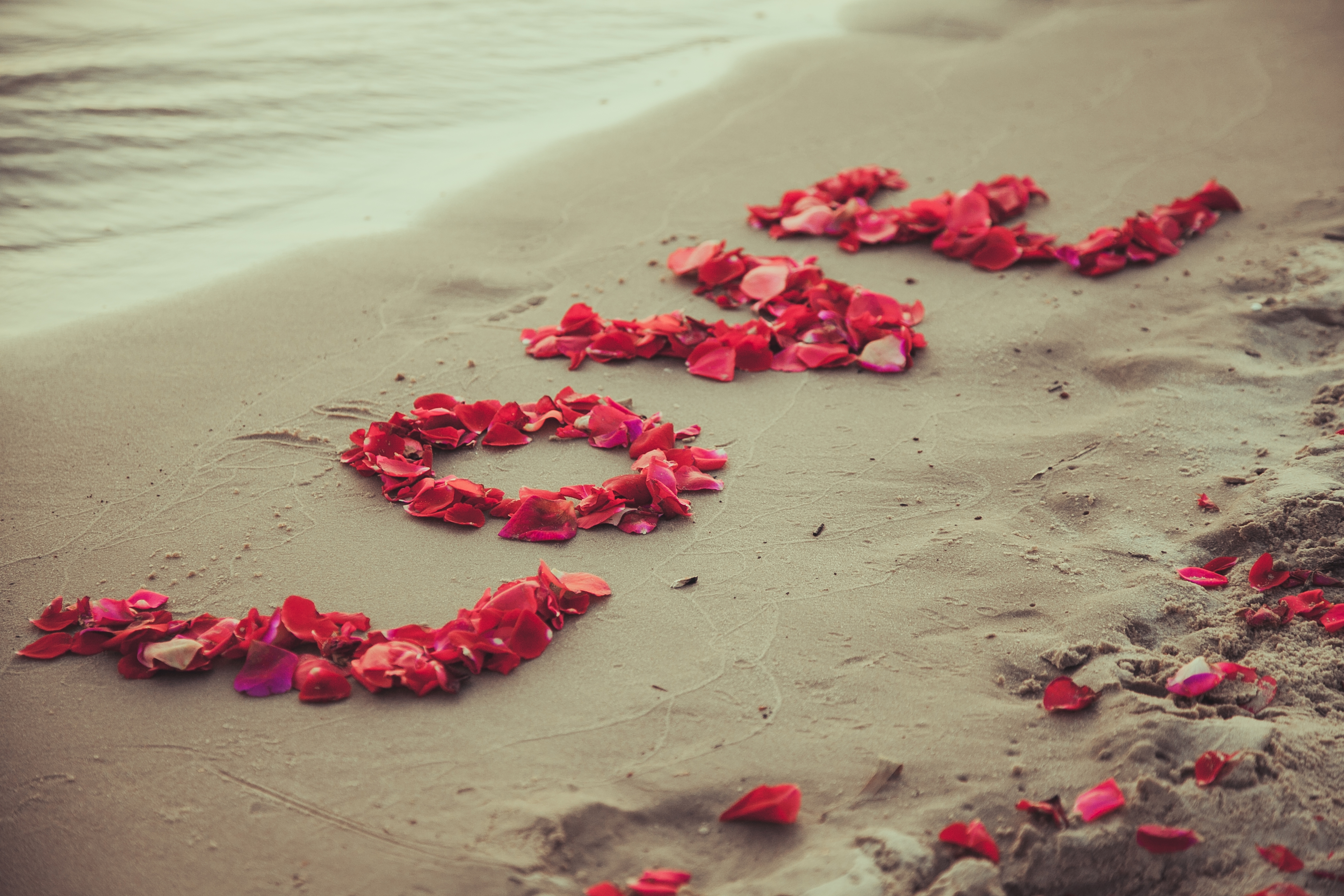 Laden Sie das Strand, Sand, Liebe, Blütenblatt, Fotografie-Bild kostenlos auf Ihren PC-Desktop herunter