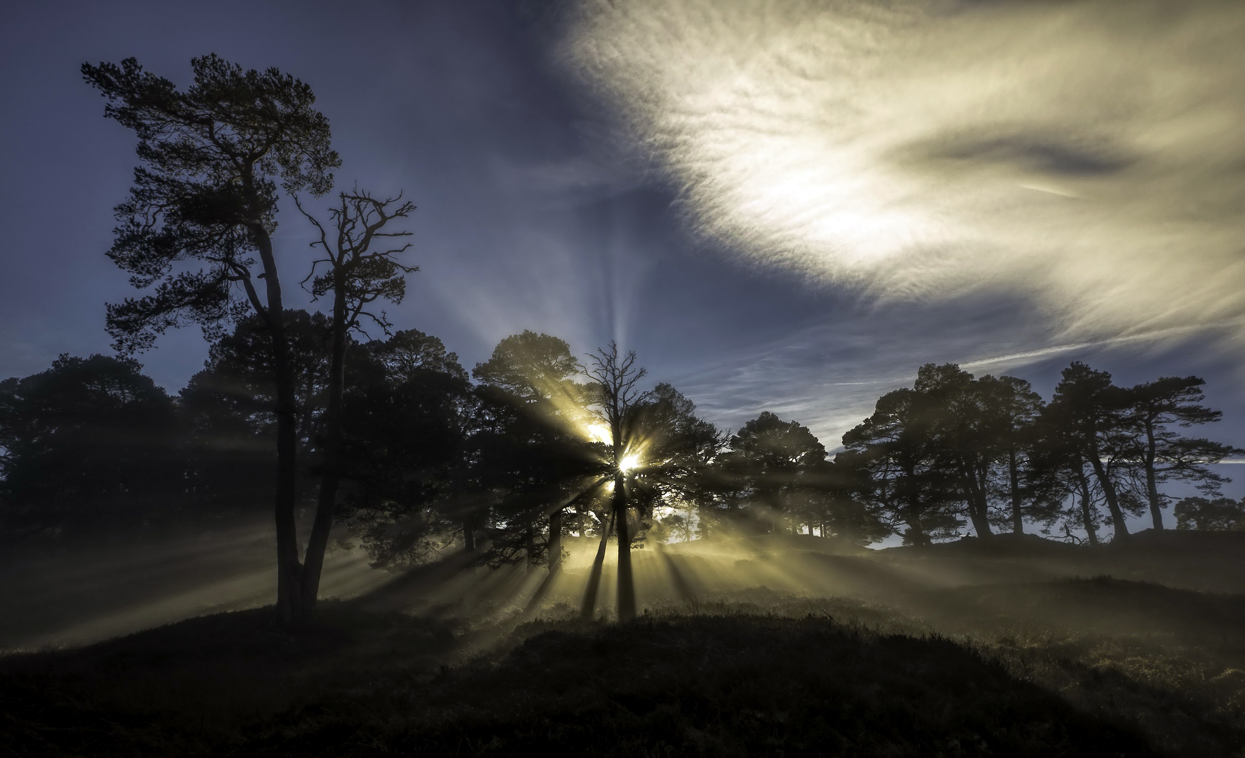 Téléchargez gratuitement l'image Arbre, Ciel, Rayon De Soleil, La Nature, Terre/nature sur le bureau de votre PC