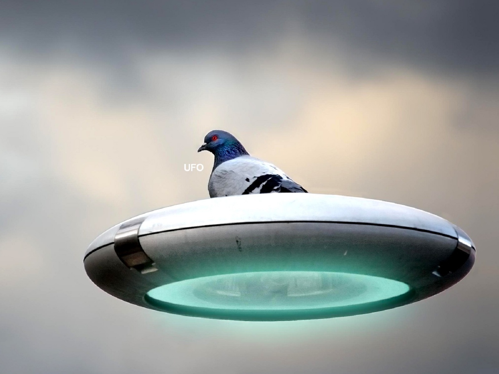 Laden Sie das Humor, Vogel, Science Fiction, Raumschiff-Bild kostenlos auf Ihren PC-Desktop herunter