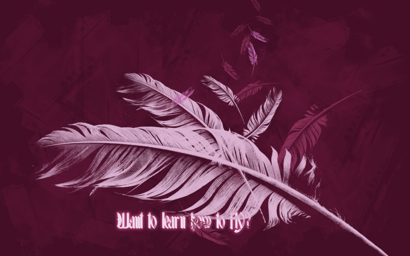 Free download wallpaper Feather, Unknown, Misc on your PC desktop