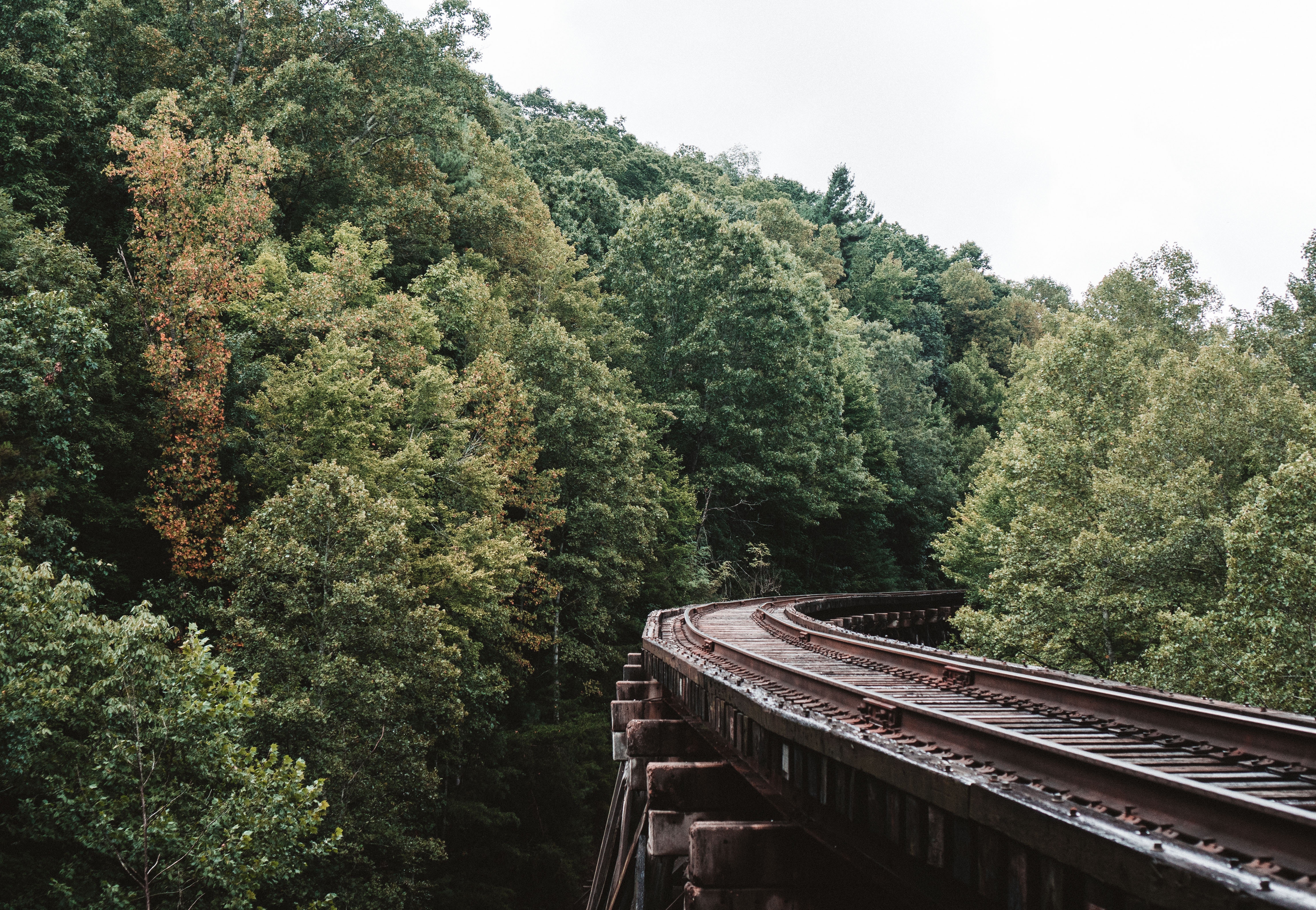 railway, nature, trees, sky HD wallpaper