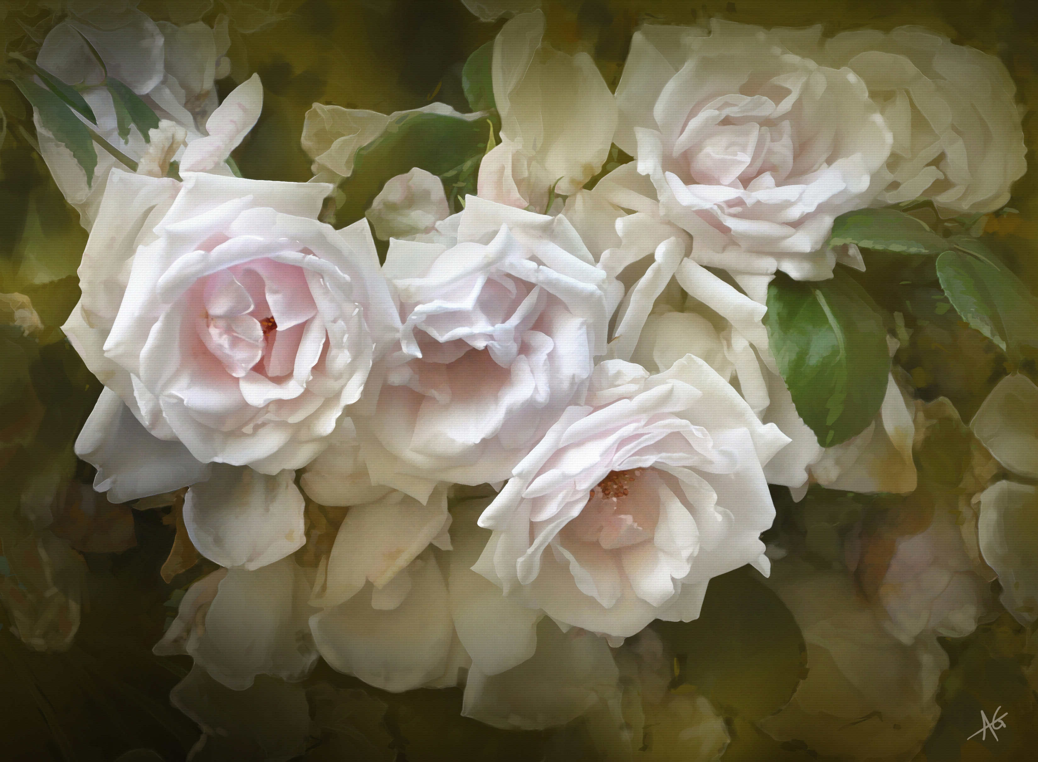 1526339 télécharger le fond d'écran artistique, rose, fleur, fleur blanche, rose blanche - économiseurs d'écran et images gratuitement