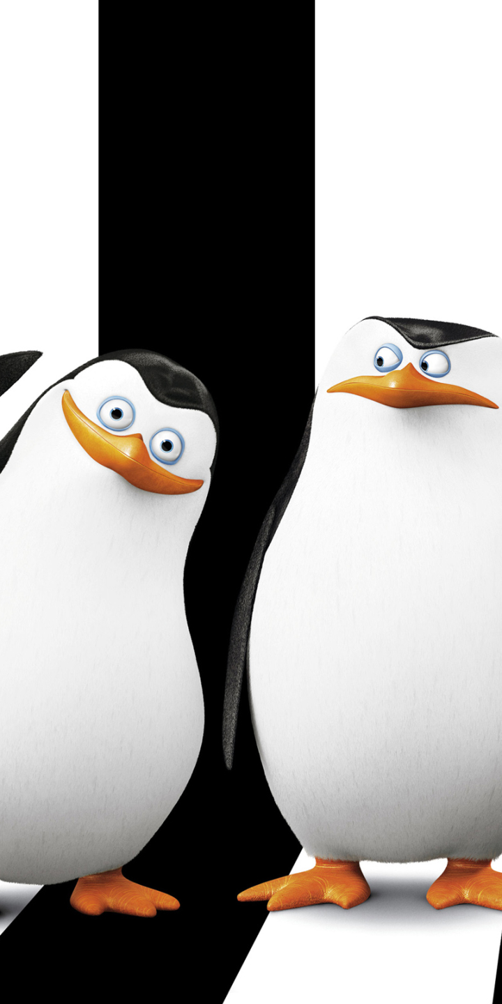 Handy-Wallpaper Pinguin, Filme, Madagaskar (Film), Die Pinguine Aus Madagascar kostenlos herunterladen.