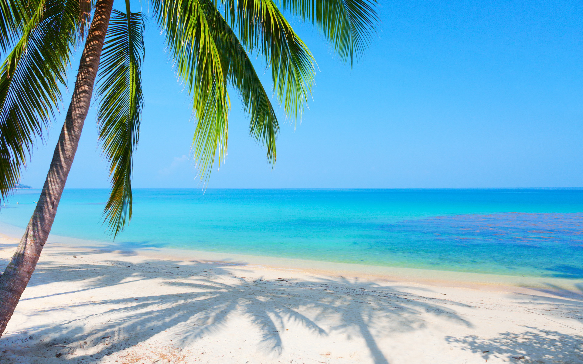 Téléchargez gratuitement l'image Plage, Terre/nature sur le bureau de votre PC